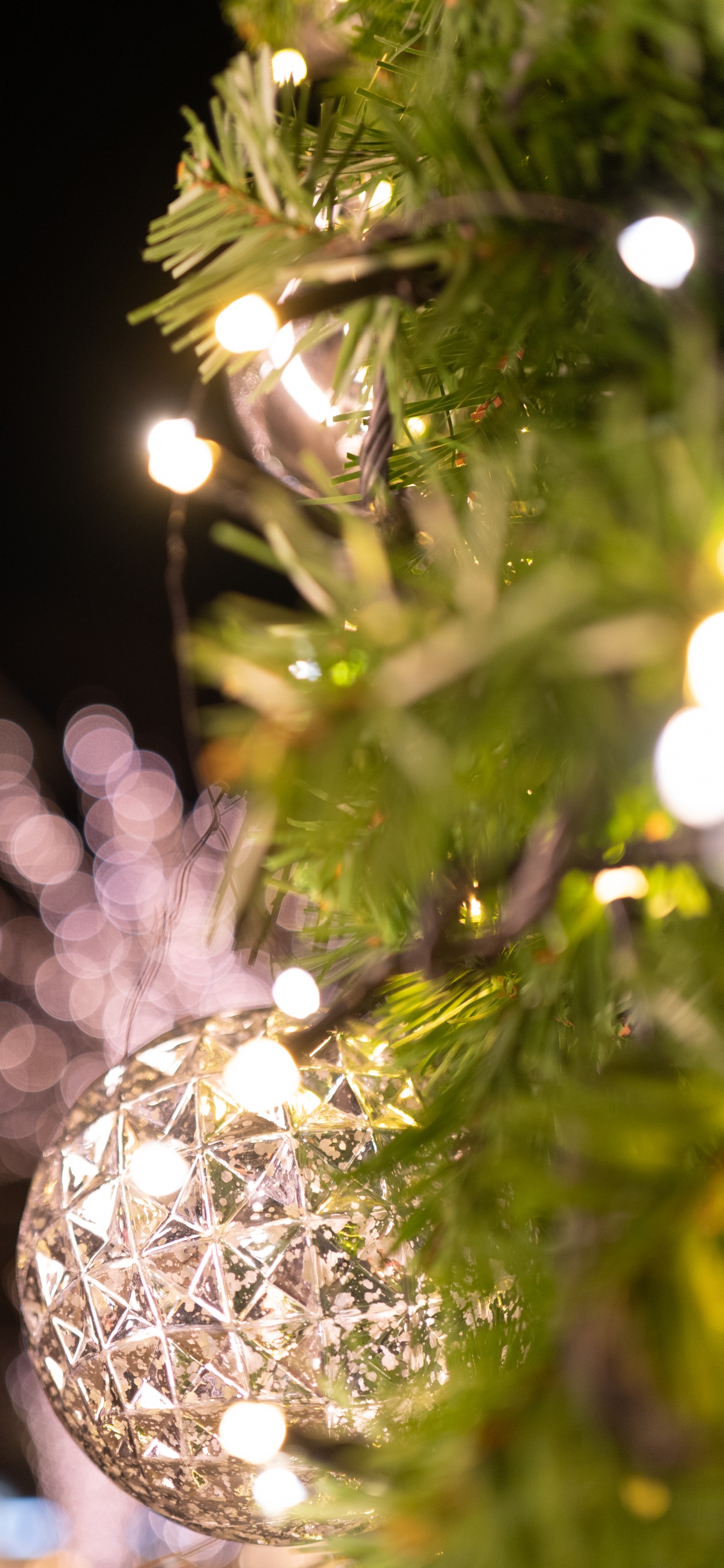 Обои древесные растения, дерево, свет, Рождество, прут в разрешении 1242x2688