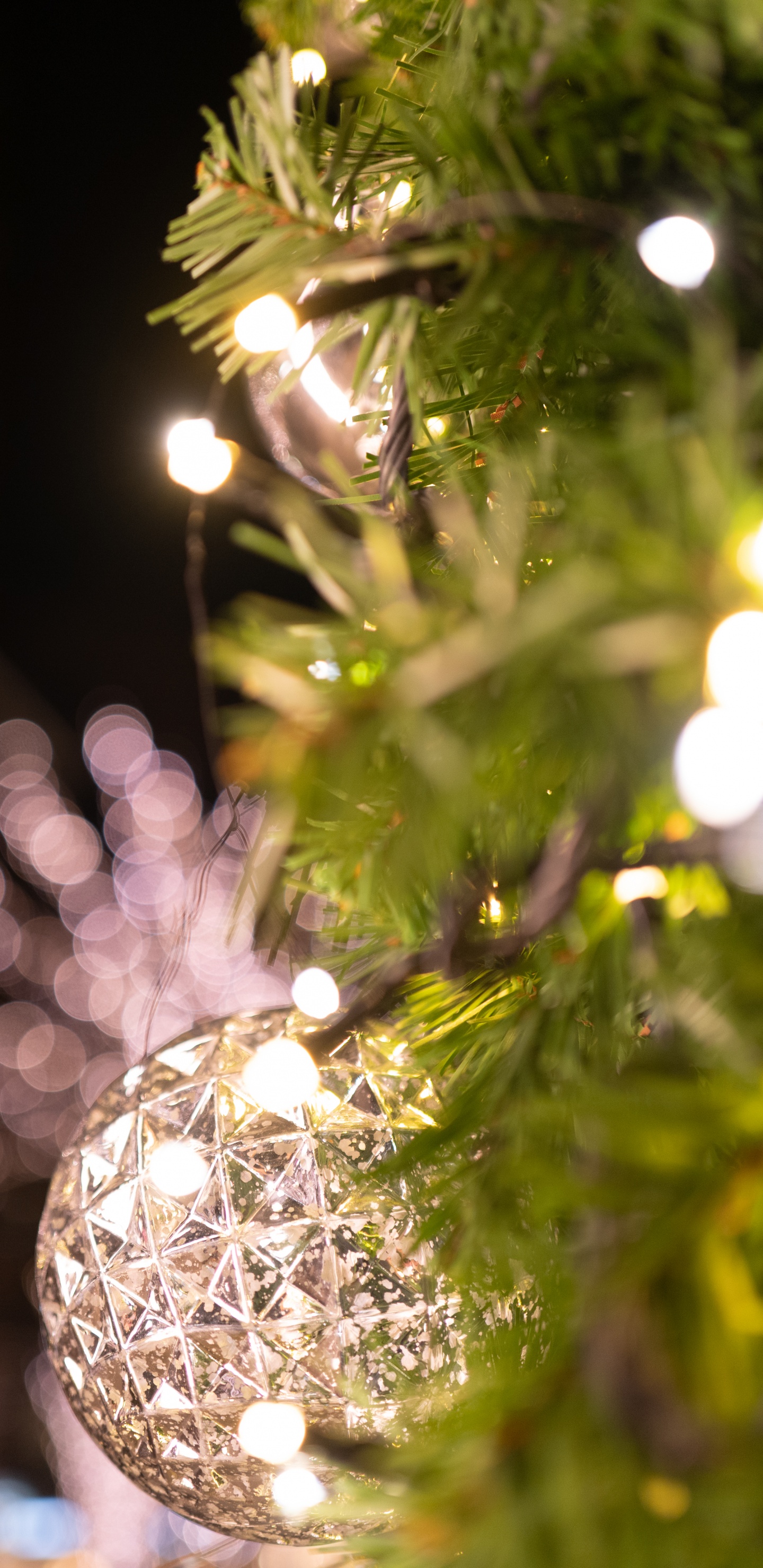 Обои древесные растения, дерево, свет, Рождество, прут в разрешении 1440x2960