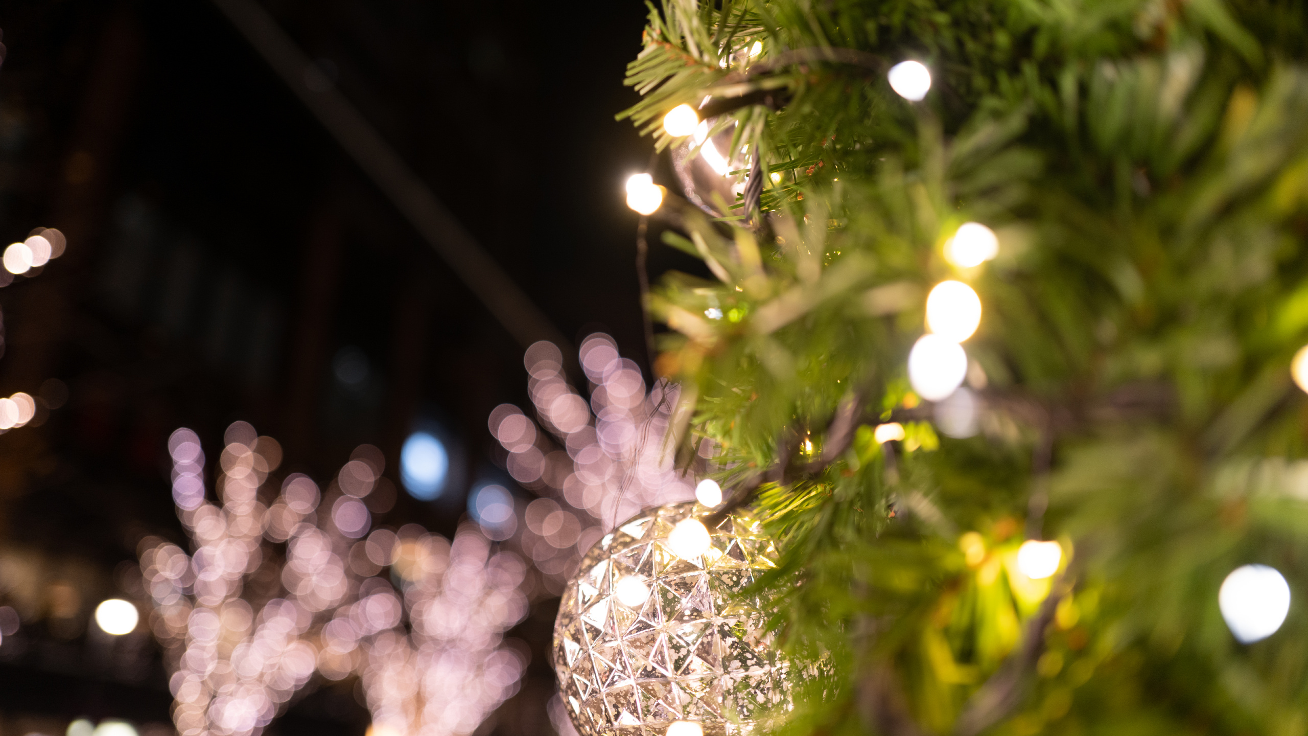 Обои древесные растения, дерево, свет, Рождество, прут в разрешении 2560x1440