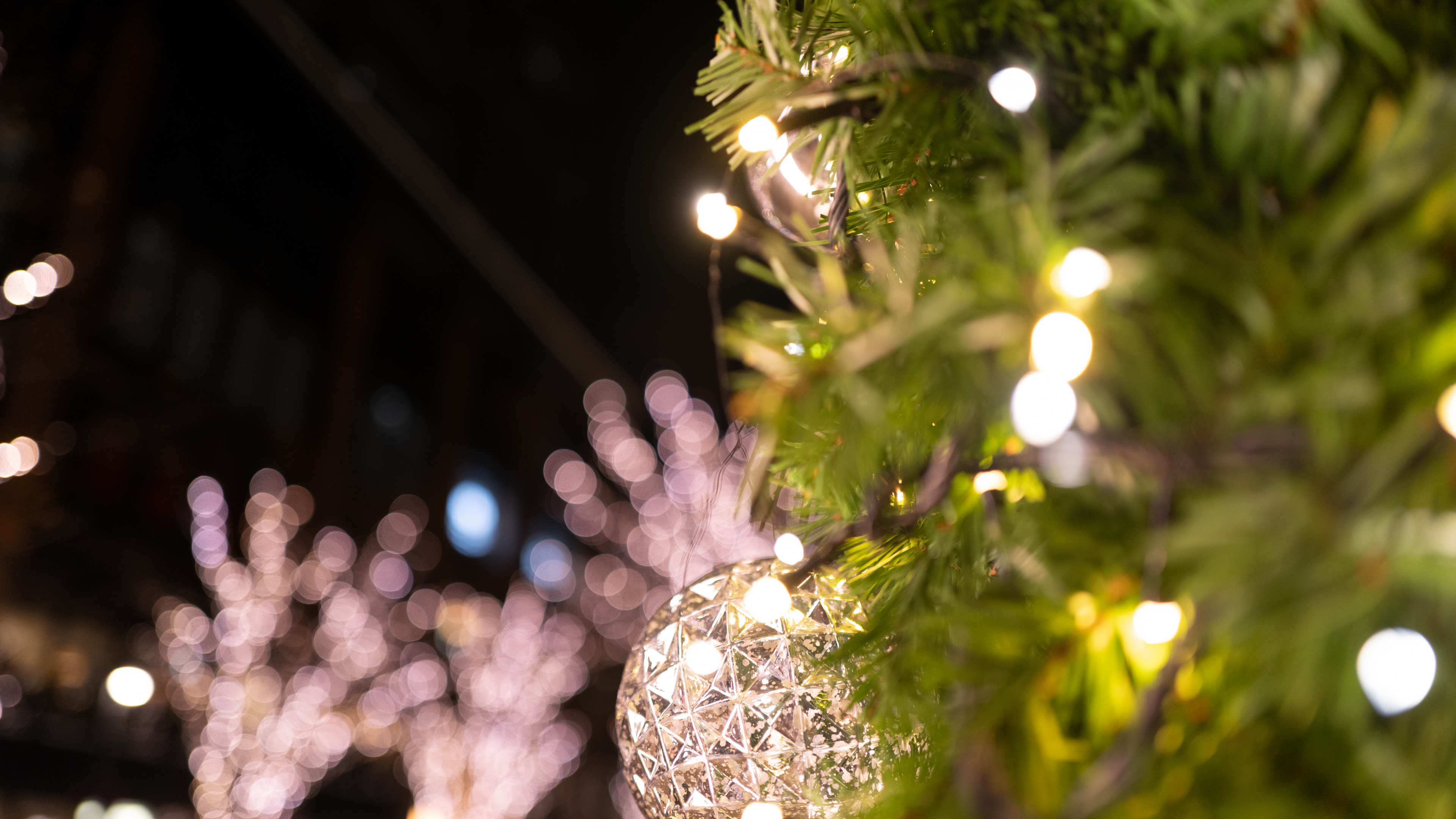 Обои древесные растения, дерево, свет, Рождество, прут в разрешении 3840x2160