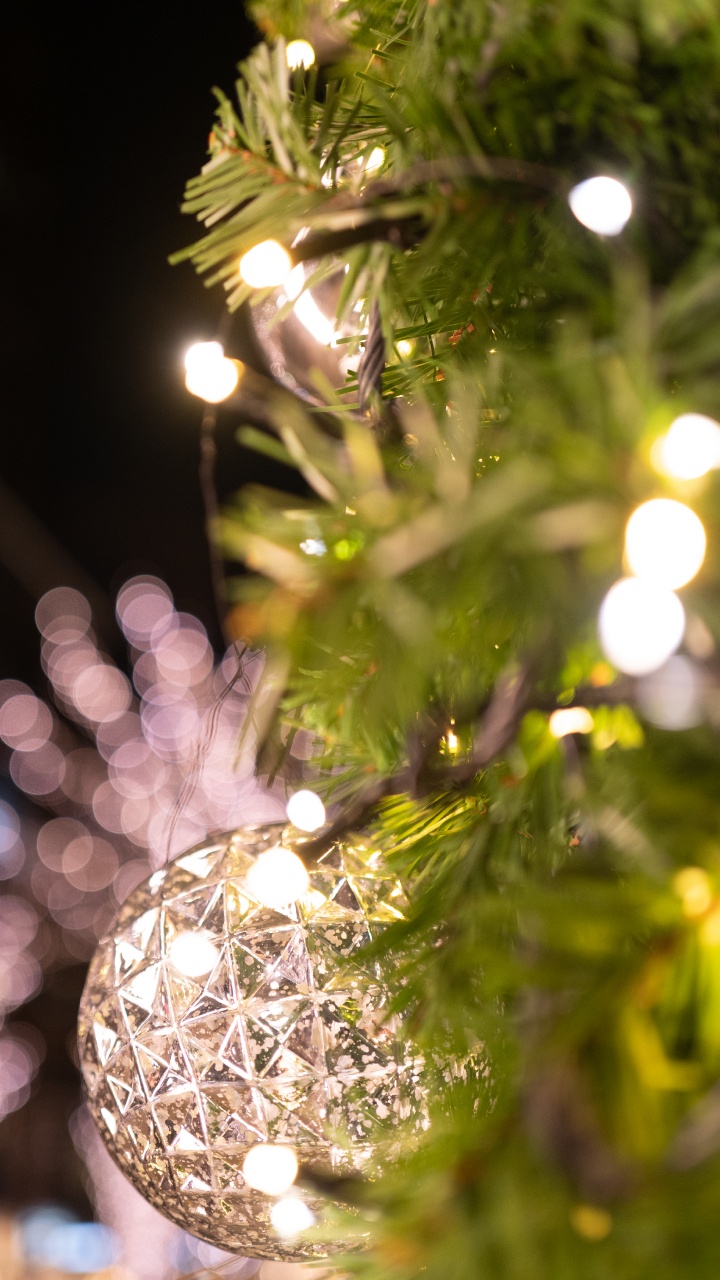 Обои древесные растения, дерево, свет, Рождество, прут в разрешении 720x1280