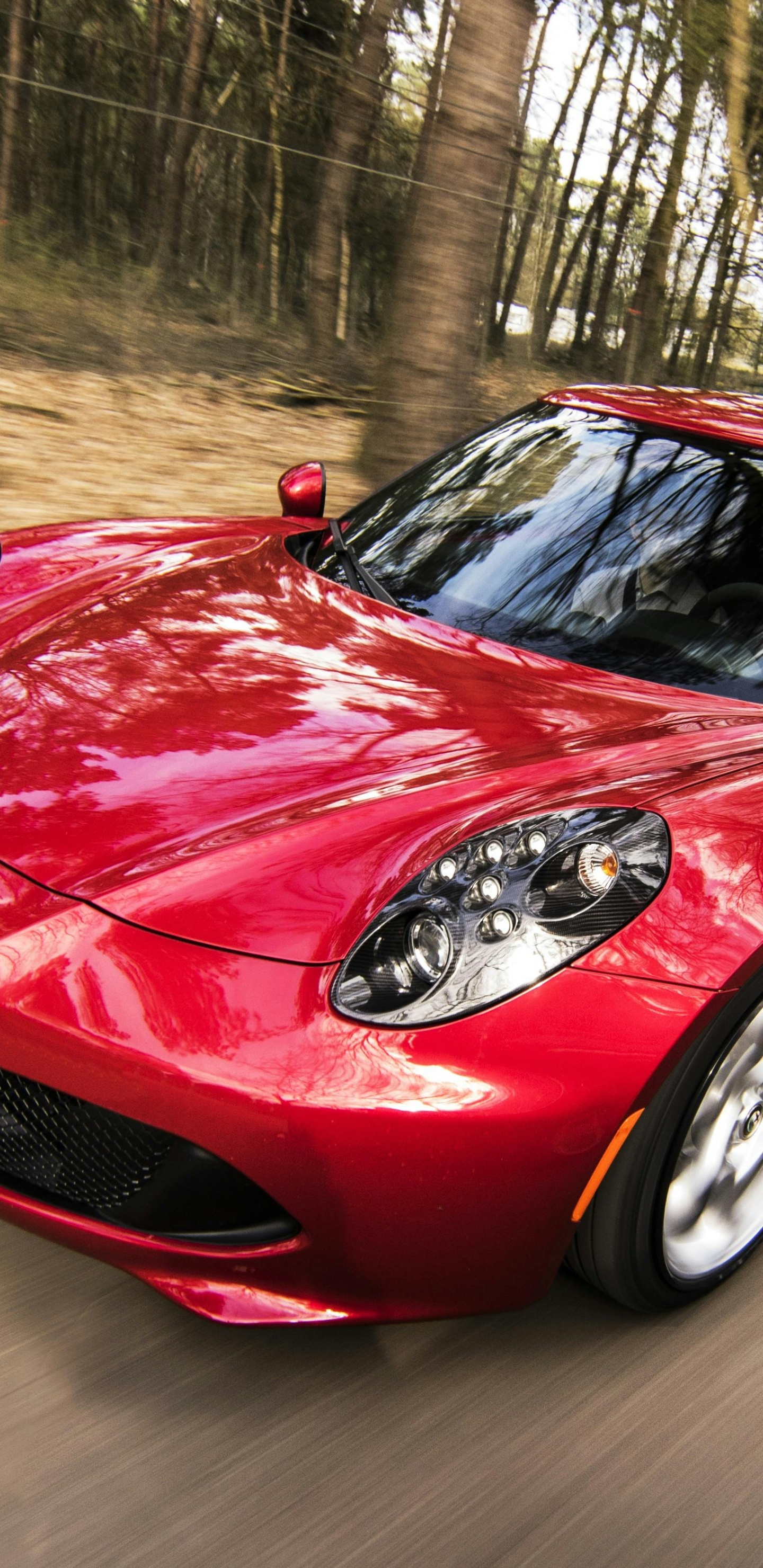 Обои легковые автомобили, Альфа Ромео 8с компетицьоне, Альфа Ромео, Альфа Ромео 4С, альфа ромео альфасуд в разрешении 1440x2960