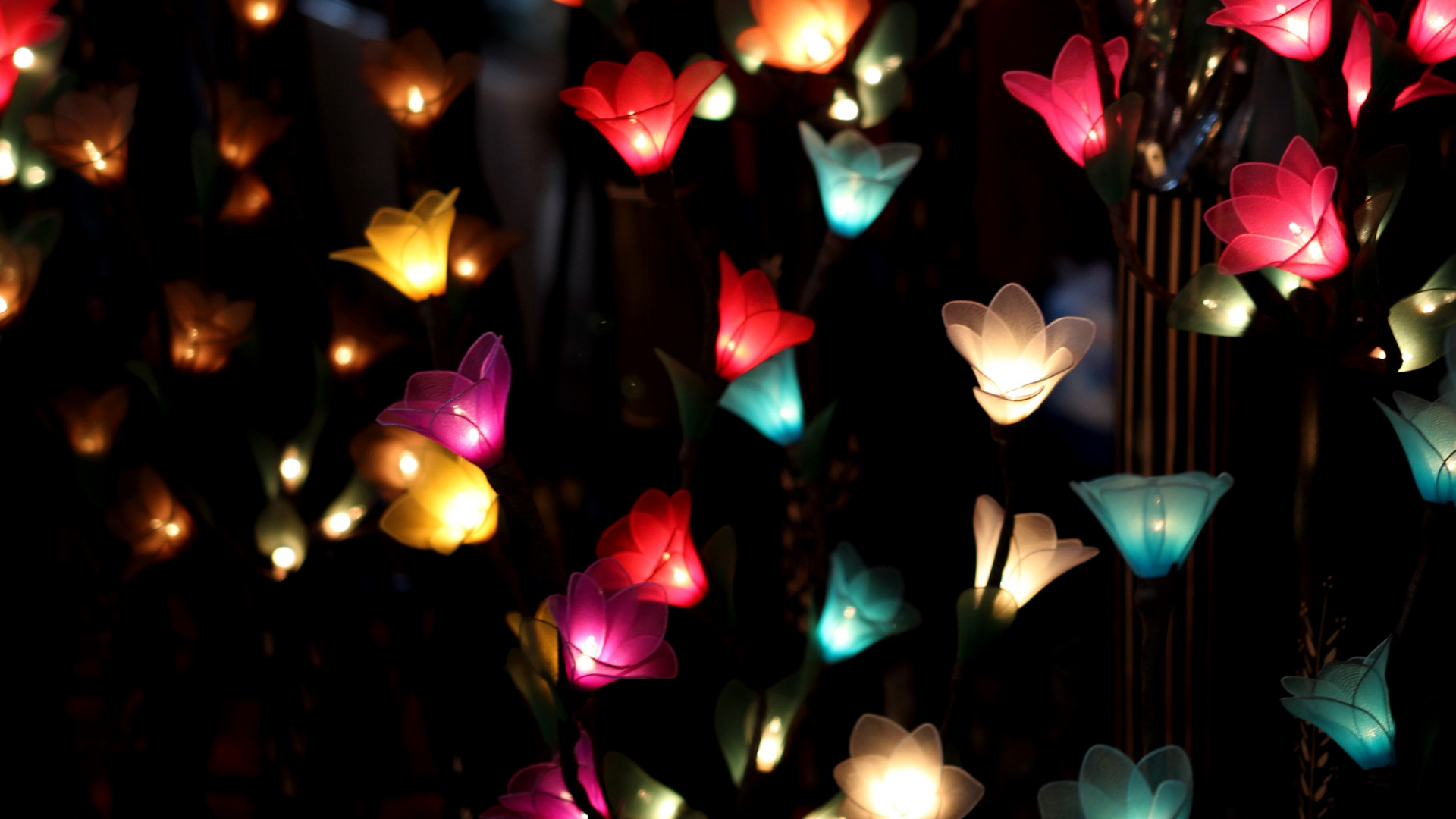 Обои гирлянда, цветок, освещение, свет, Рождественские огни в разрешении 1920x1080