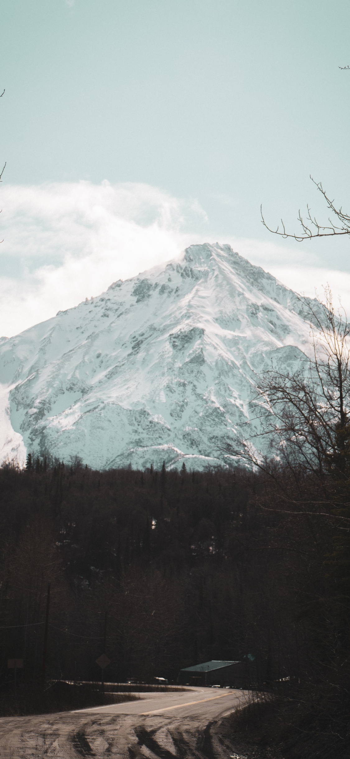 Обои дерево, нагорье, геология, пейзажи гор, горный рельеф в разрешении 1125x2436