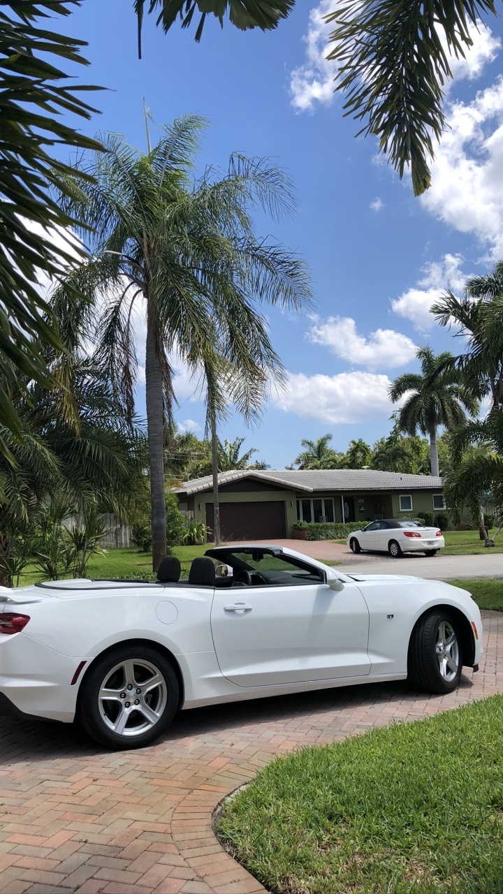 Обои Шевроле камаро, Шевроле, Майами, Кабриолет, Король в разрешении 720x1280