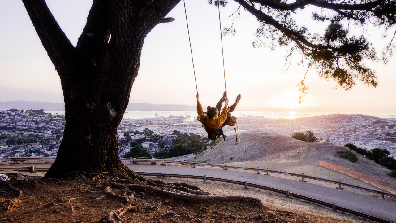 Обои дерево, качели, природа, ветвь, древесные растения в разрешении 1280x720