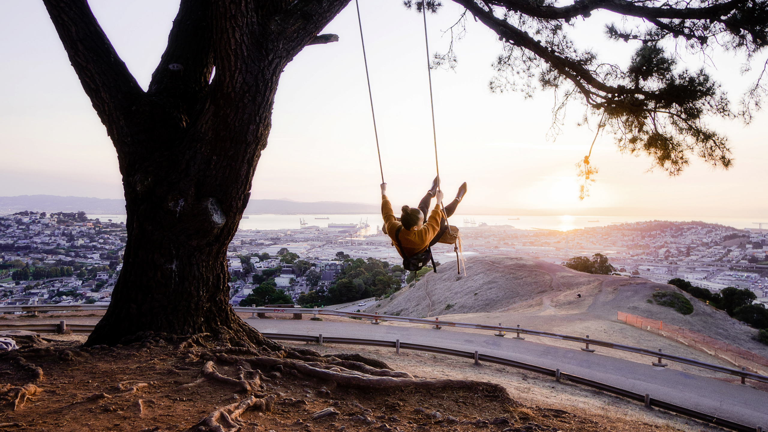 Обои дерево, качели, природа, ветвь, древесные растения в разрешении 2560x1440