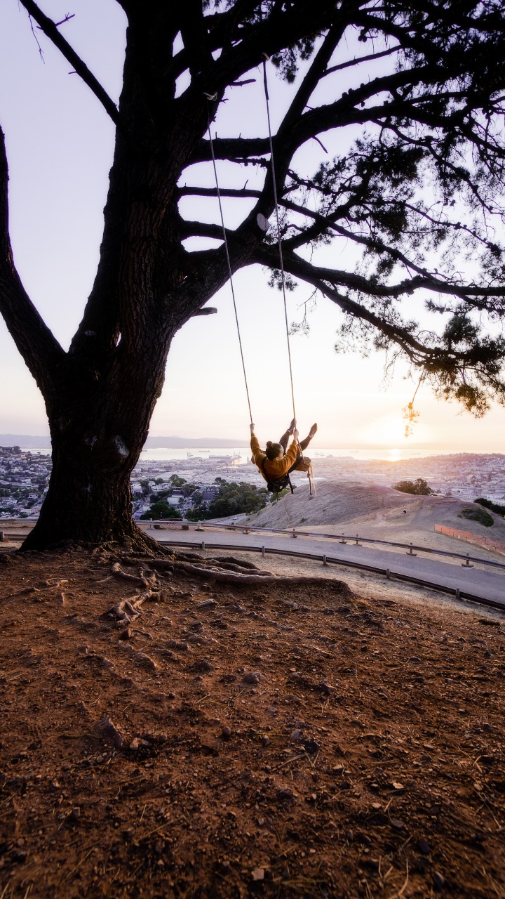 Обои дерево, качели, природа, ветвь, древесные растения в разрешении 720x1280