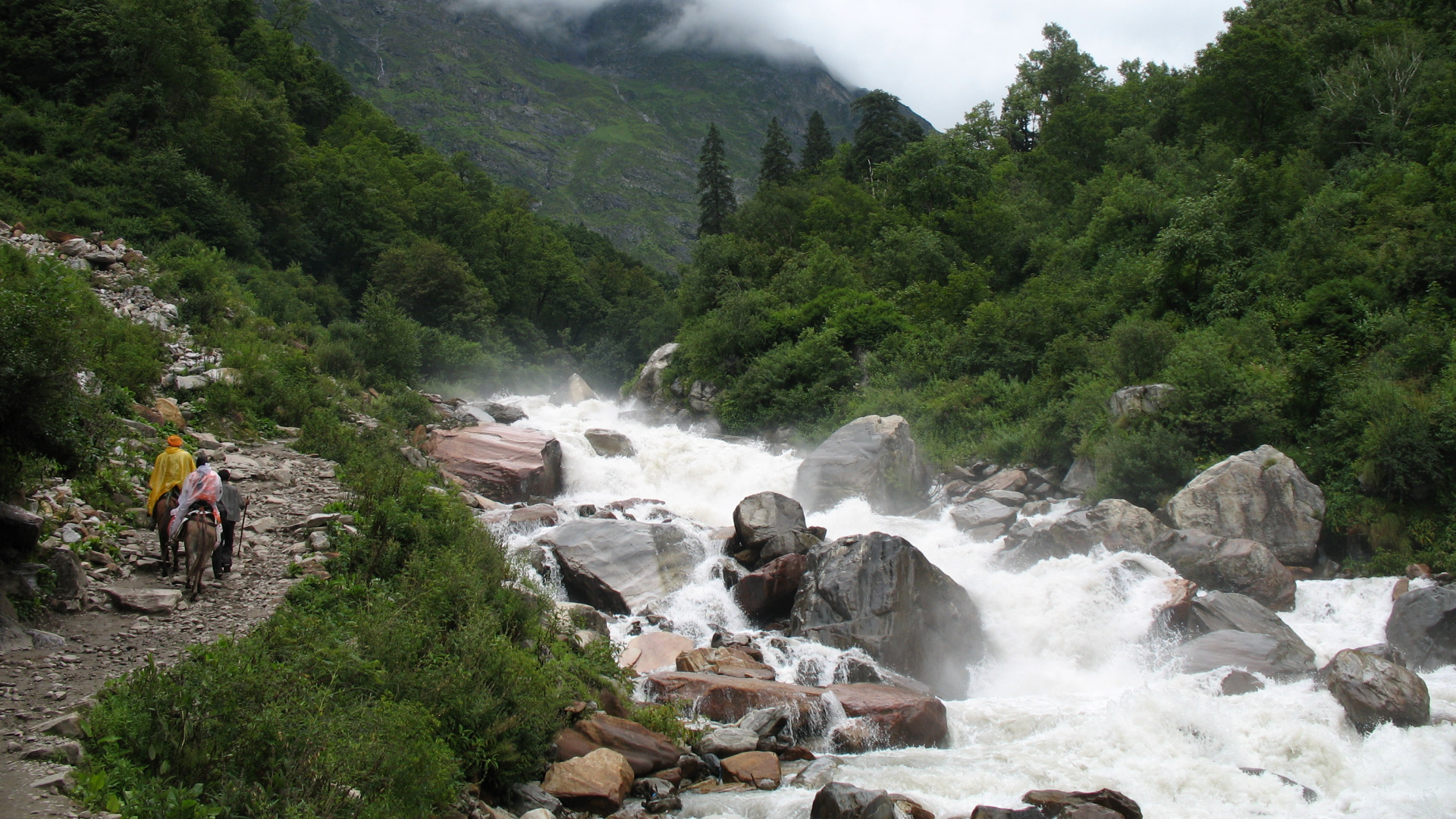 Обои Бинсар Заповедник Дикой Природы, гидроресурсы, вода, водоток, горная станция в разрешении 1920x1080