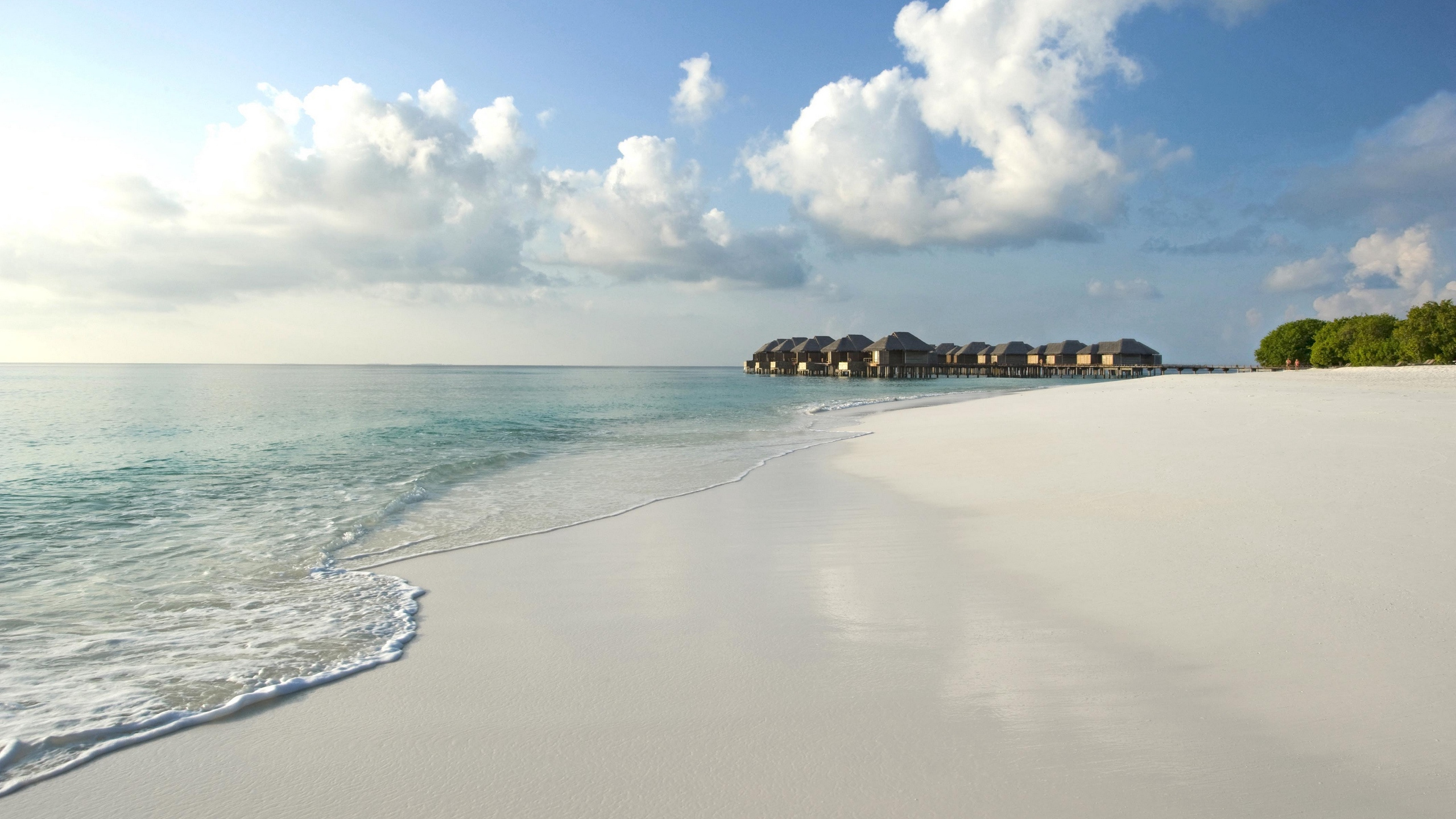 Обои пляж, водоем, море, берег, океан в разрешении 2560x1440