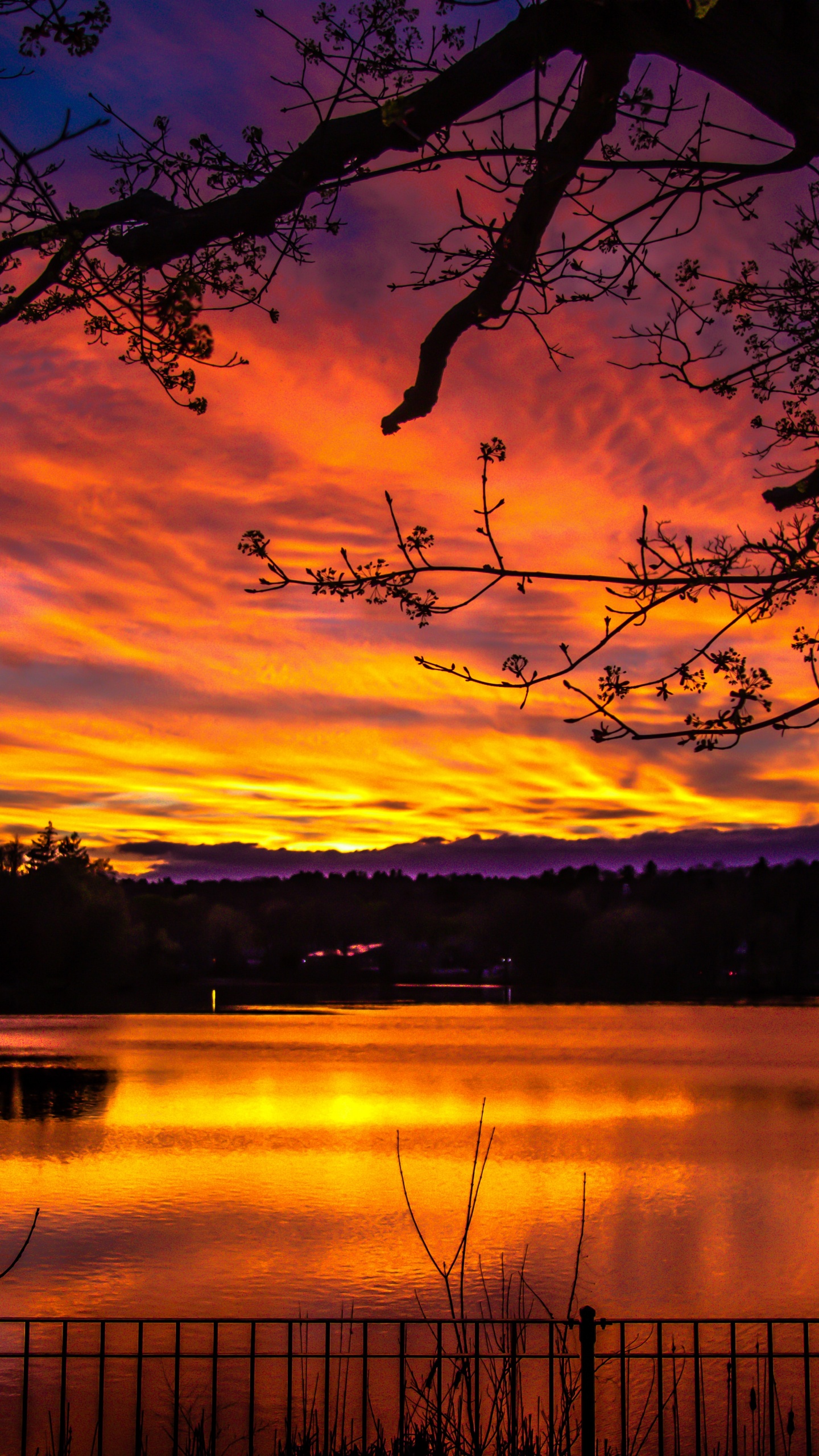 Обои закат, природа, послесвечение, облако, восход солнца в разрешении 1440x2560