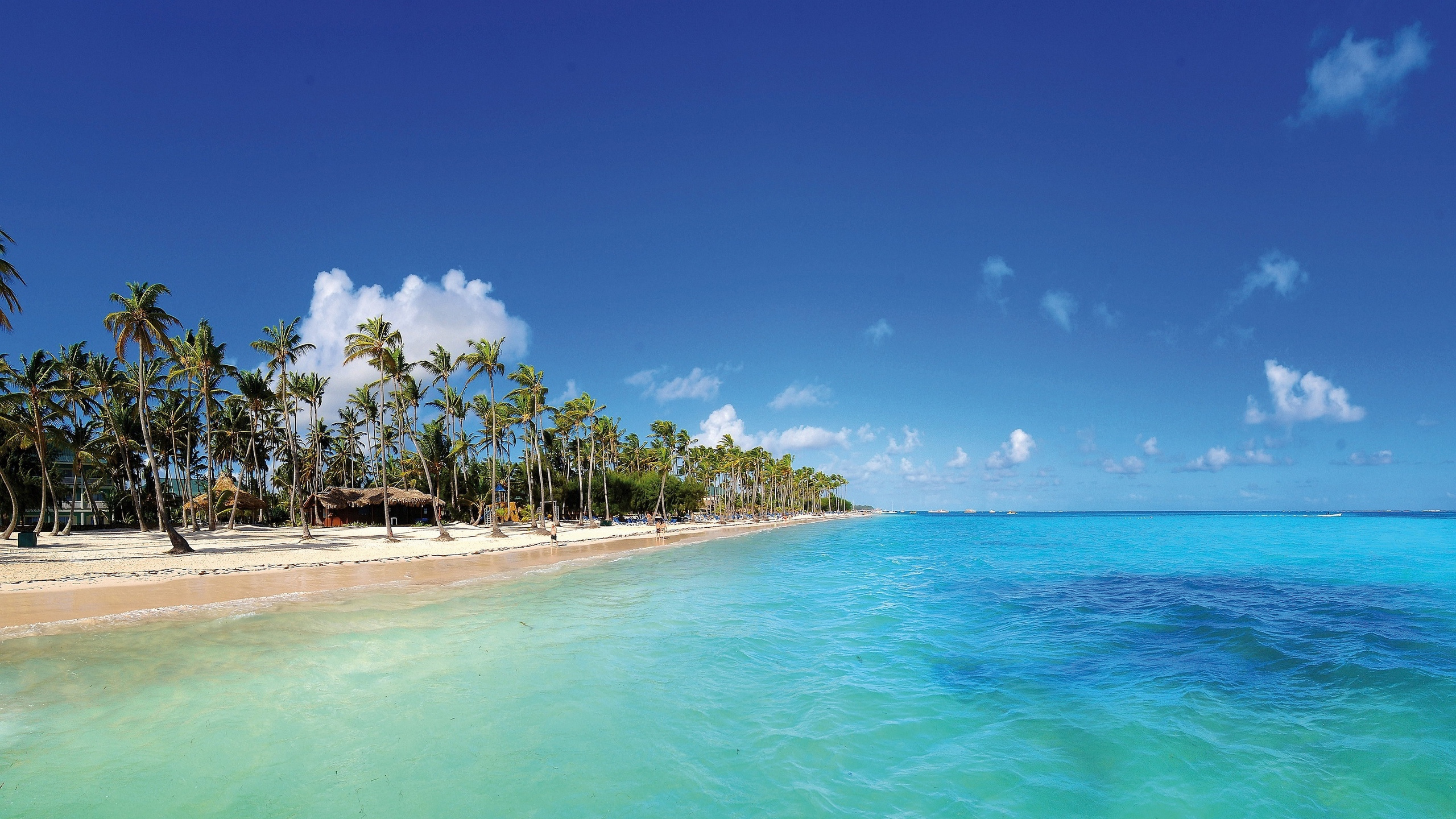 Обои Пляж Баваро, Барсел Пляж Bvaro - Только Для Взрослых, прибежище, пляж, водоем в разрешении 2560x1440