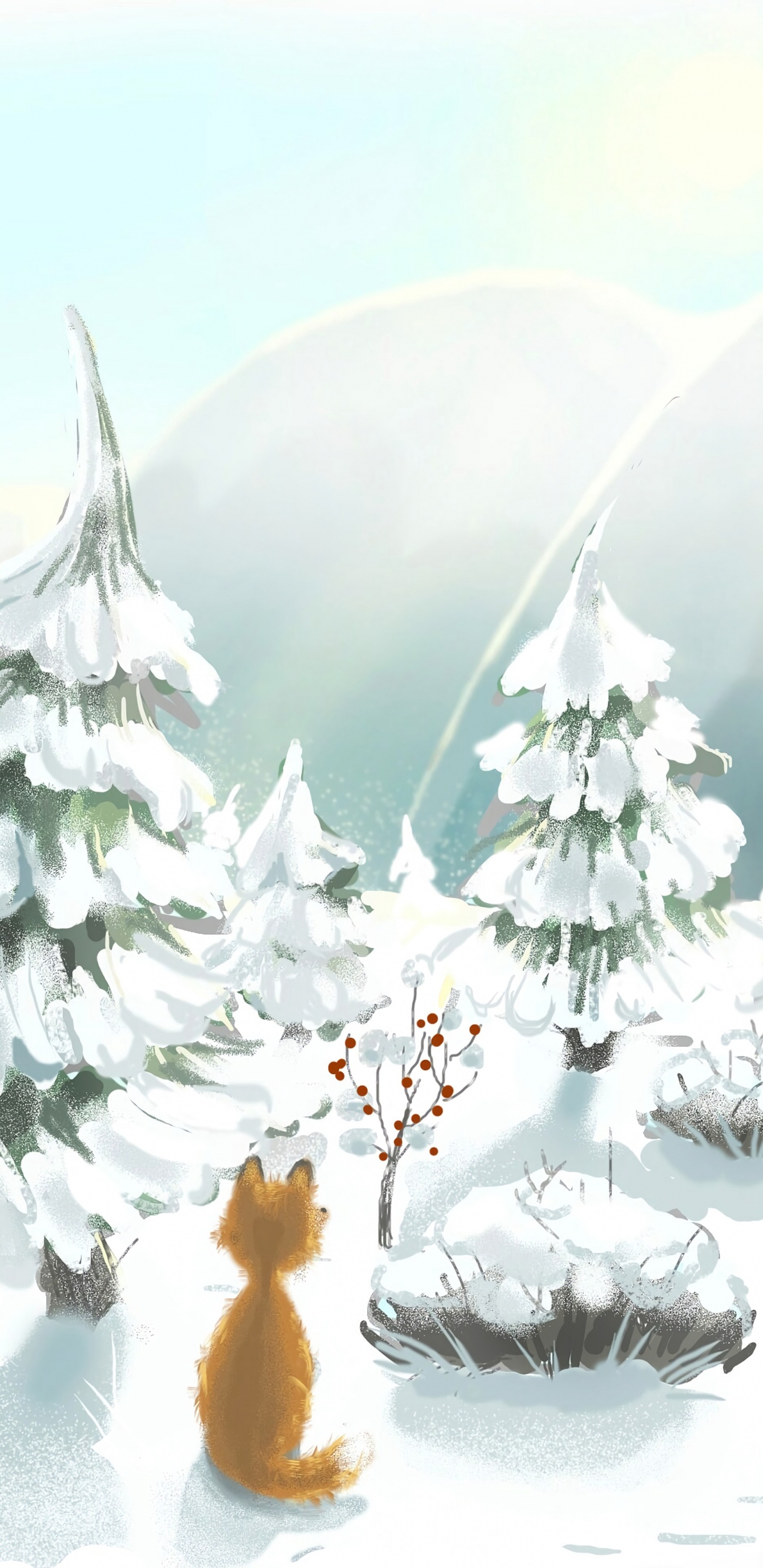 Обои елка, Рождественский день, семейства сосновых, пихта, зима в разрешении 1440x2960