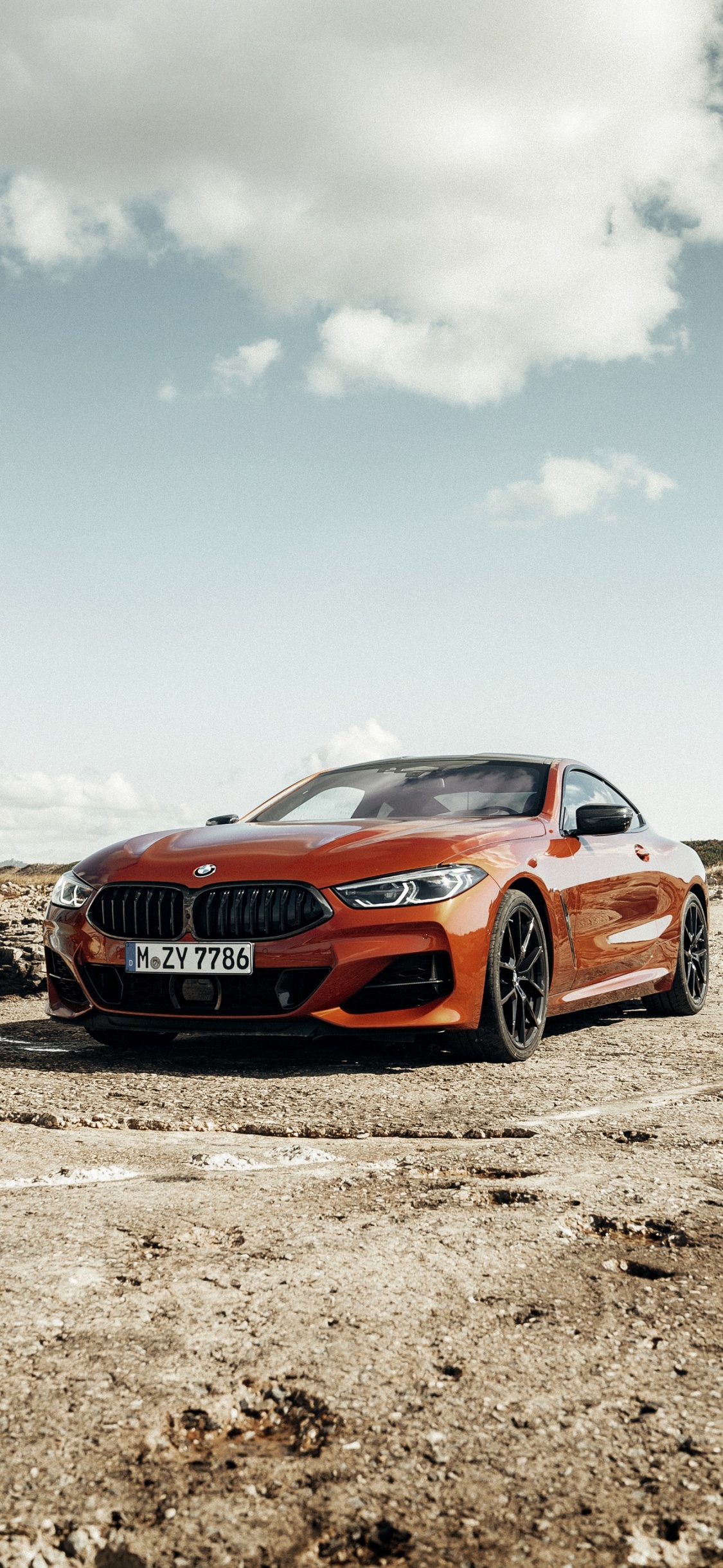 Обои BMW 8 серия, bmw, авто, БМВ г15, колесо в разрешении 1125x2436