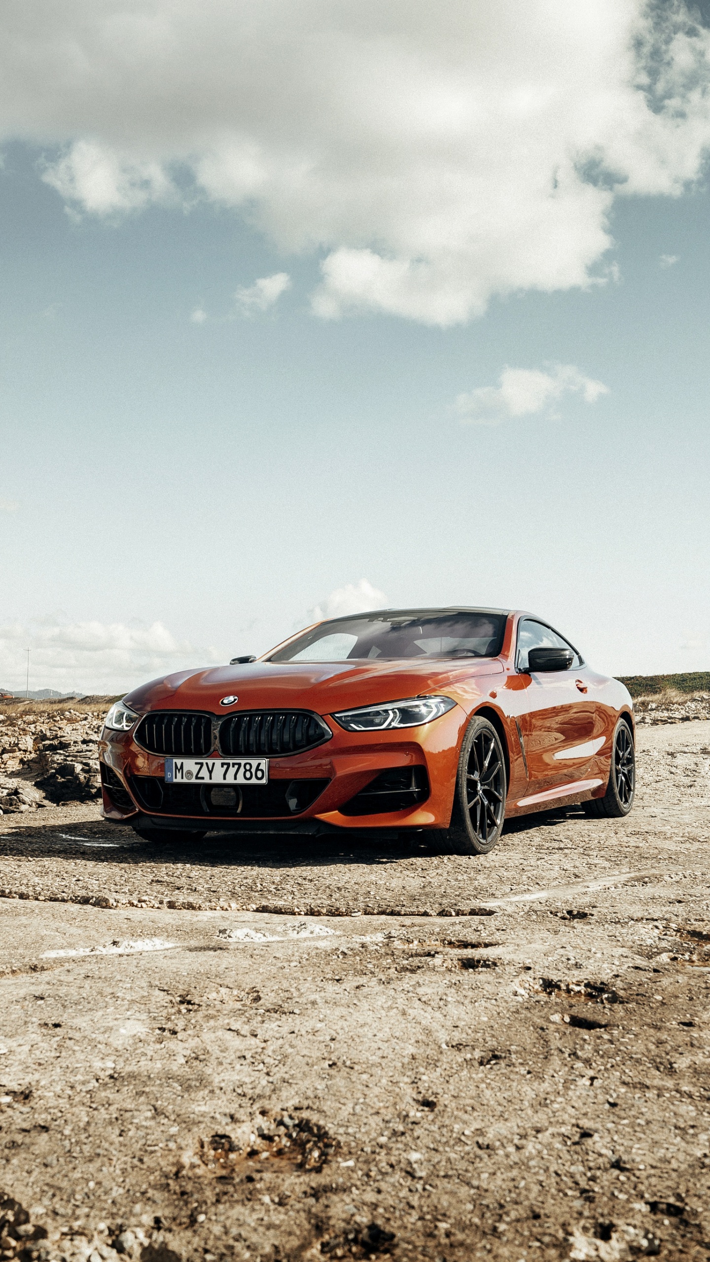 Обои BMW 8 серия, bmw, авто, БМВ г15, колесо в разрешении 1440x2560