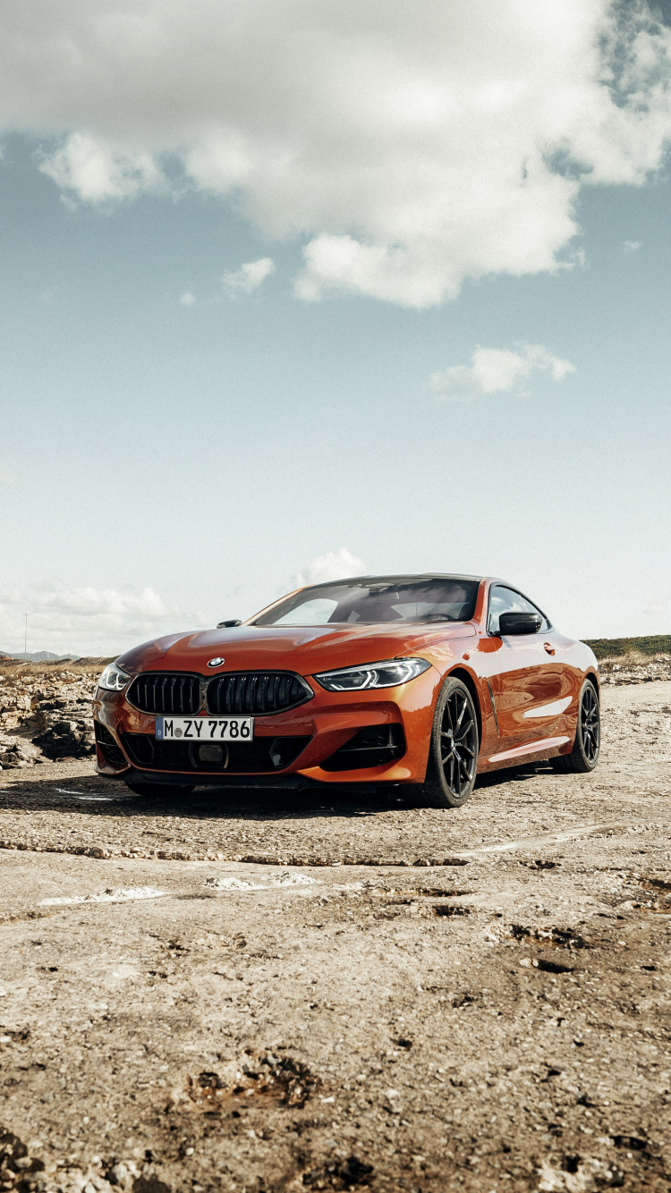 Обои BMW 8 серия, bmw, авто, БМВ г15, колесо в разрешении 750x1334