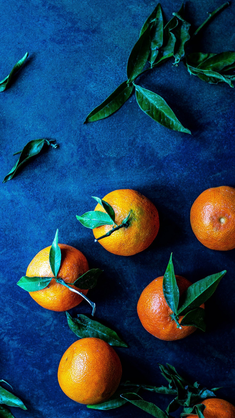 Обои португальская домашняя кухня, традиционная португальская кухня, книга, Кулинария, португальская кухня в разрешении 750x1334