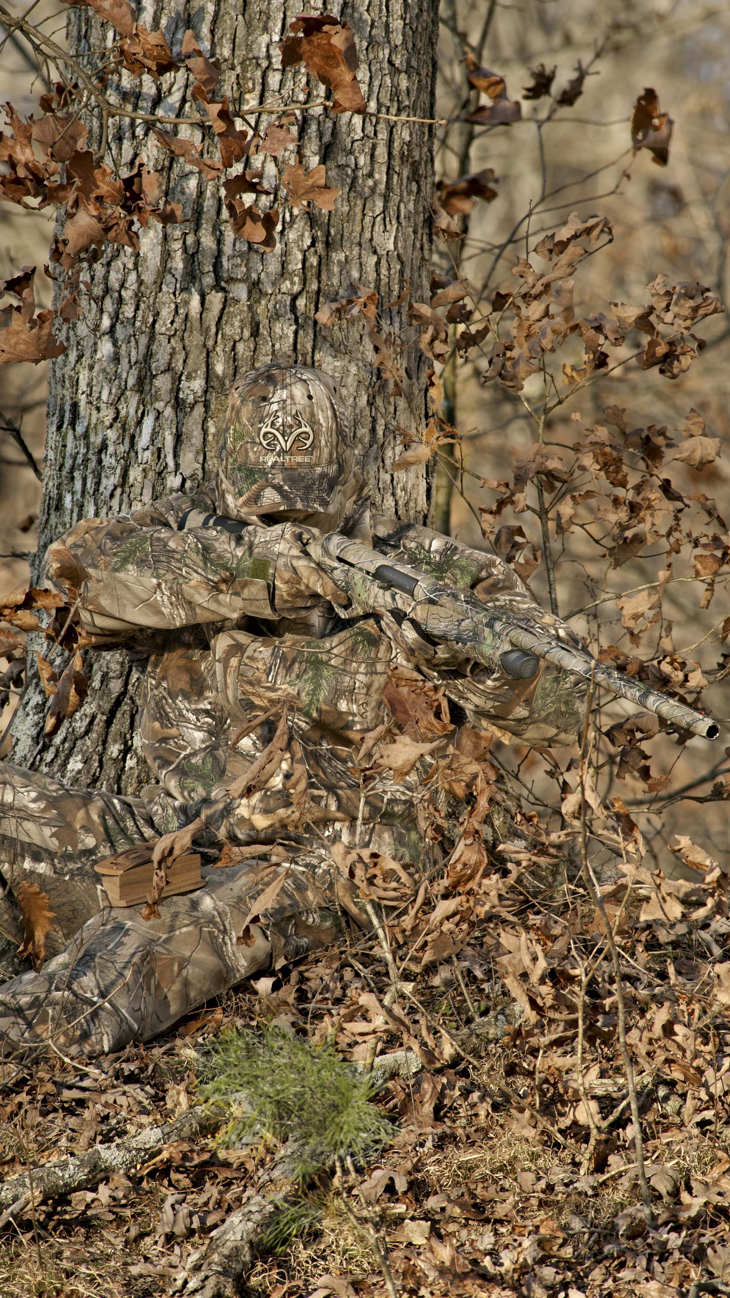 Обои камуфляж, дерево, одежда для охоты, охота, Охота слепой в разрешении 1440x2560