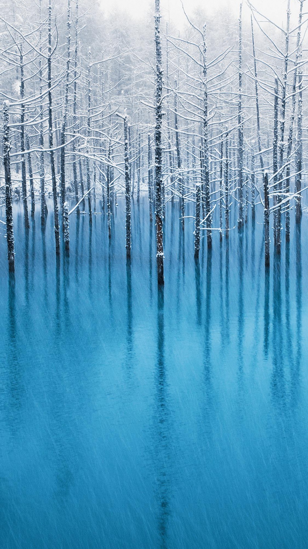 Обои яблоко, смартфон, ios, вода, растение в разрешении 1080x1920