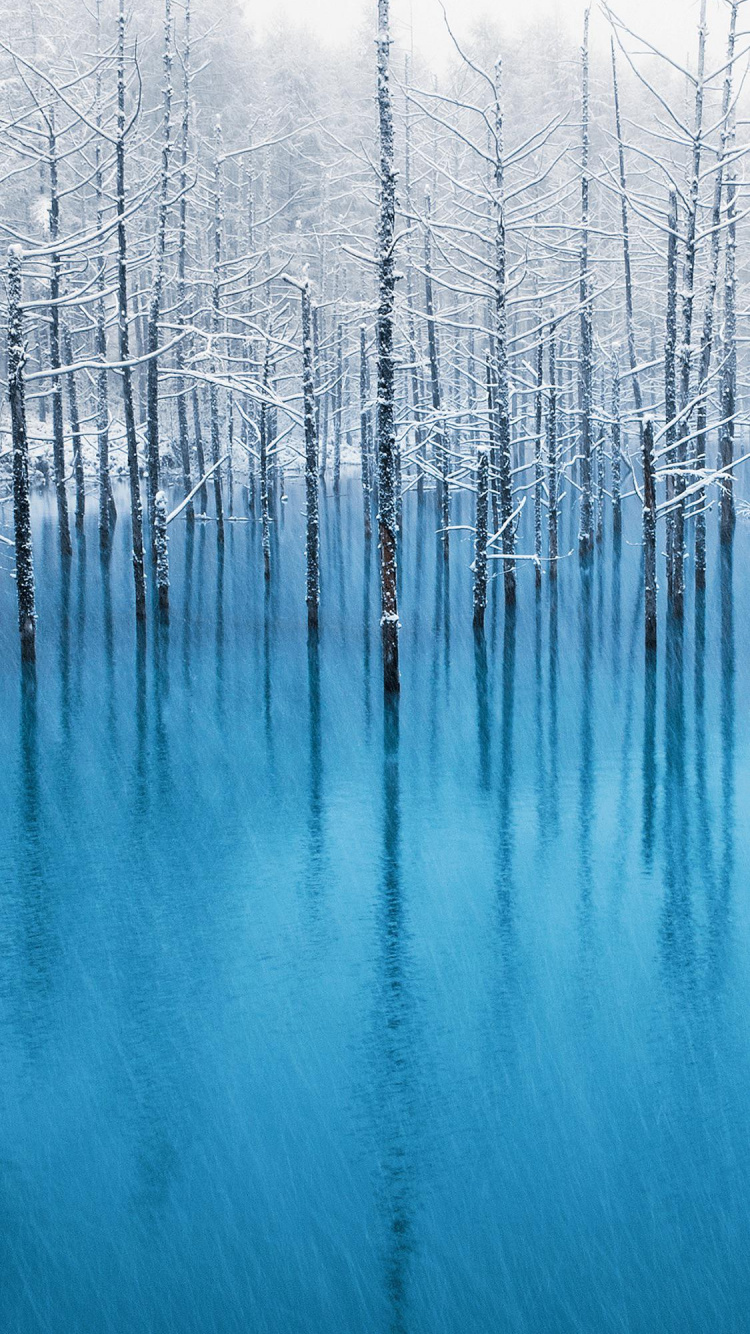 Обои яблоко, смартфон, ios, вода, растение в разрешении 750x1334