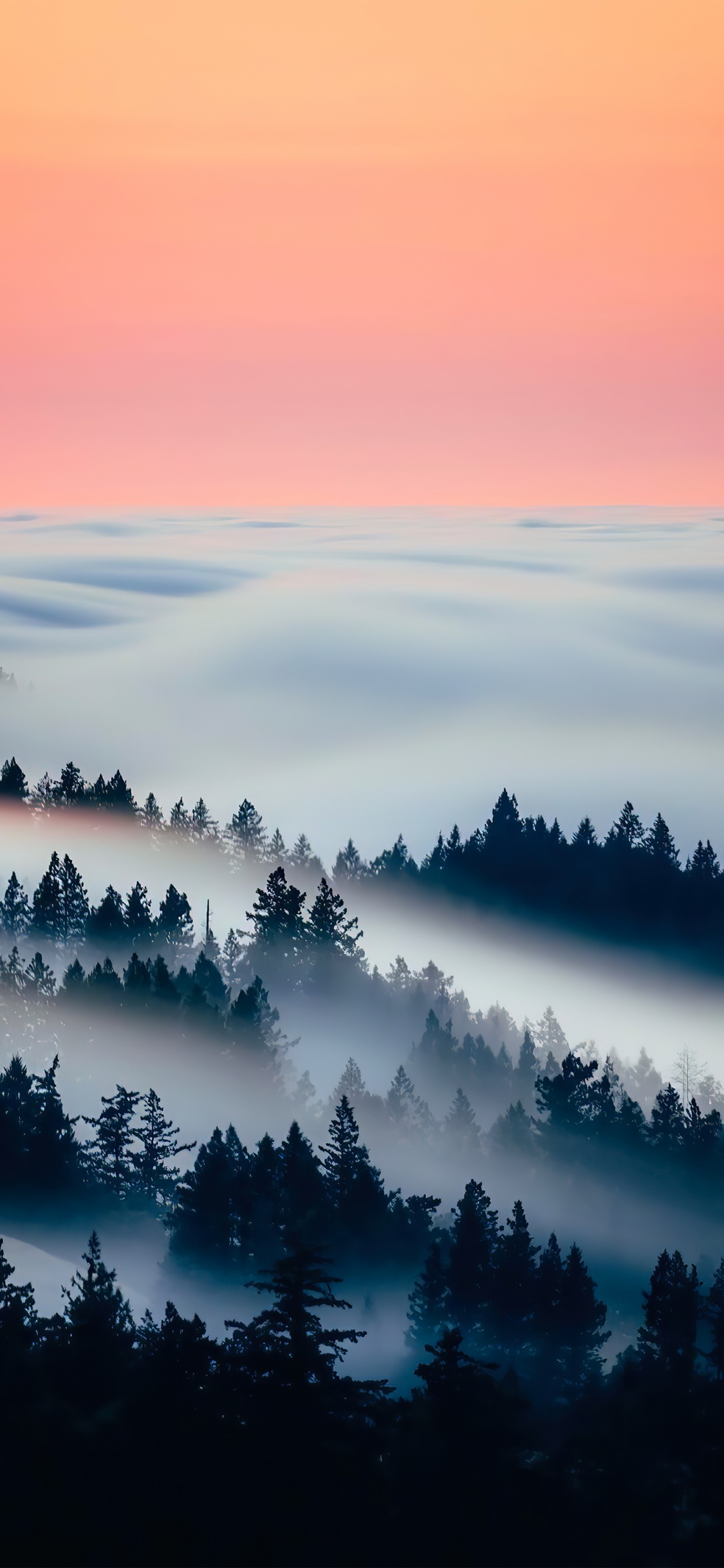 Обои облако, атмосфера, дневное время, экорегион, природный ландшафт в разрешении 1125x2436