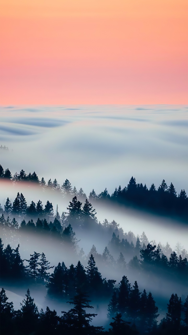 Обои облако, атмосфера, дневное время, экорегион, природный ландшафт в разрешении 720x1280