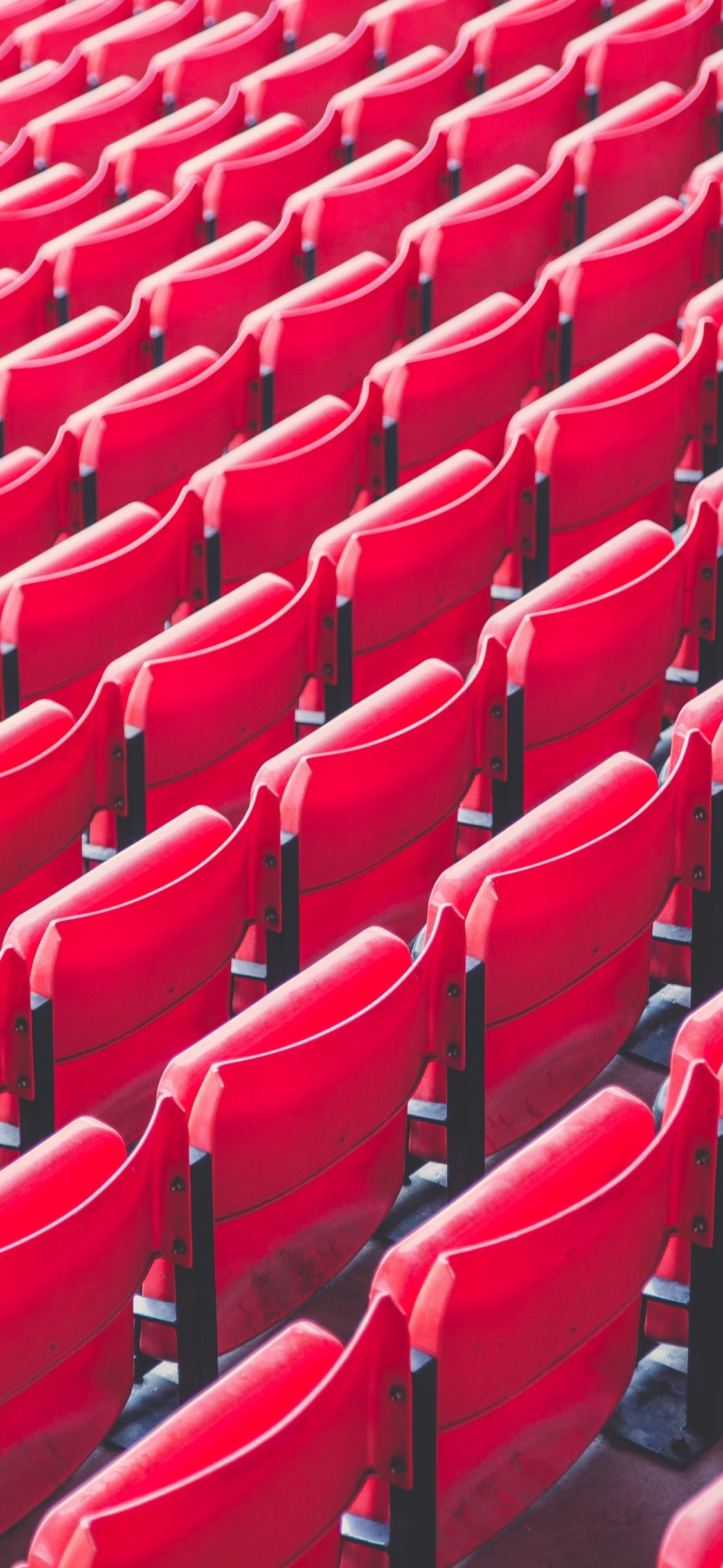 Обои стадион, Арена, стул, зрительный зал, красный цвет в разрешении 1125x2436