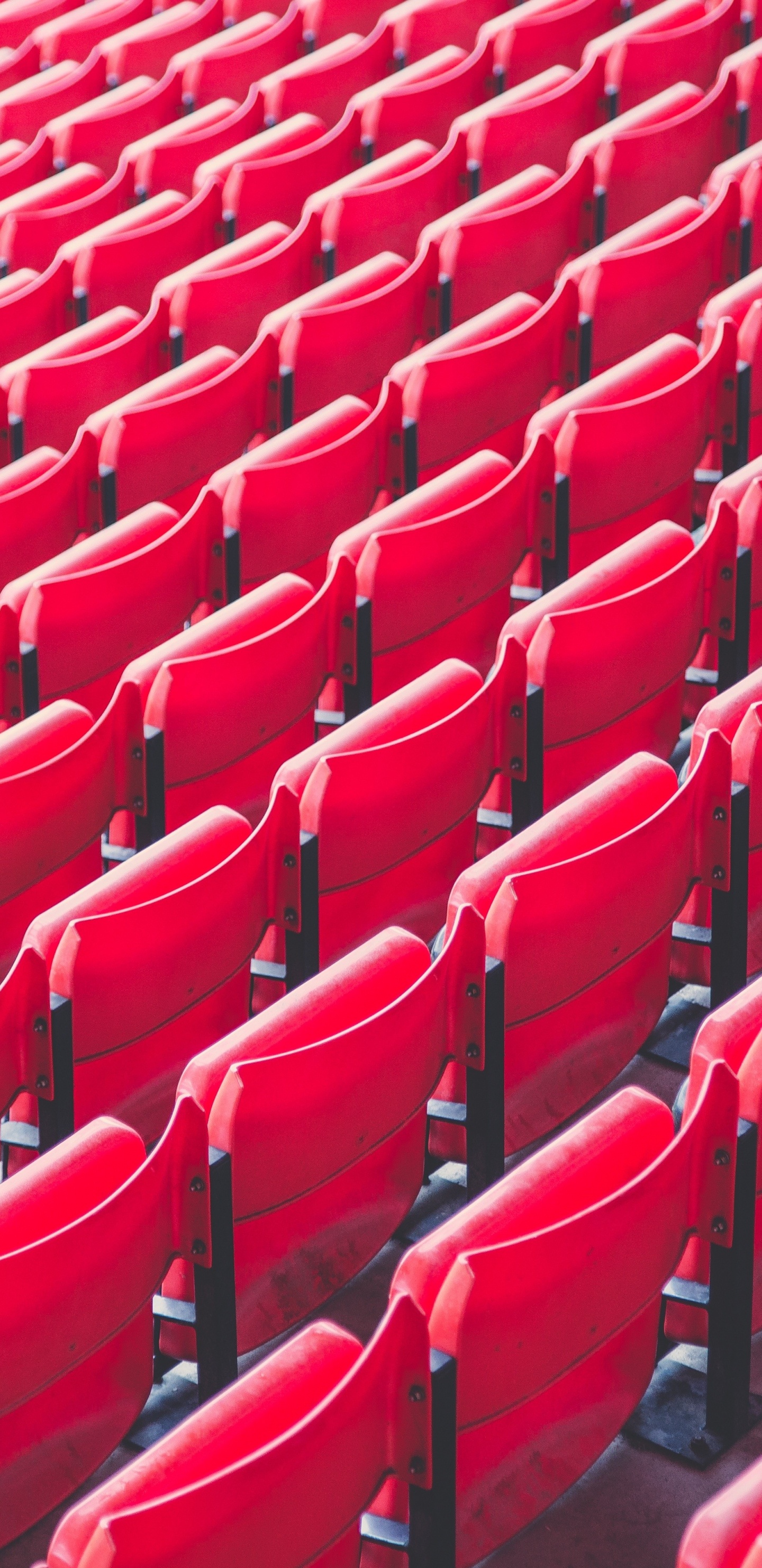 Обои стадион, Арена, стул, зрительный зал, красный цвет в разрешении 1440x2960