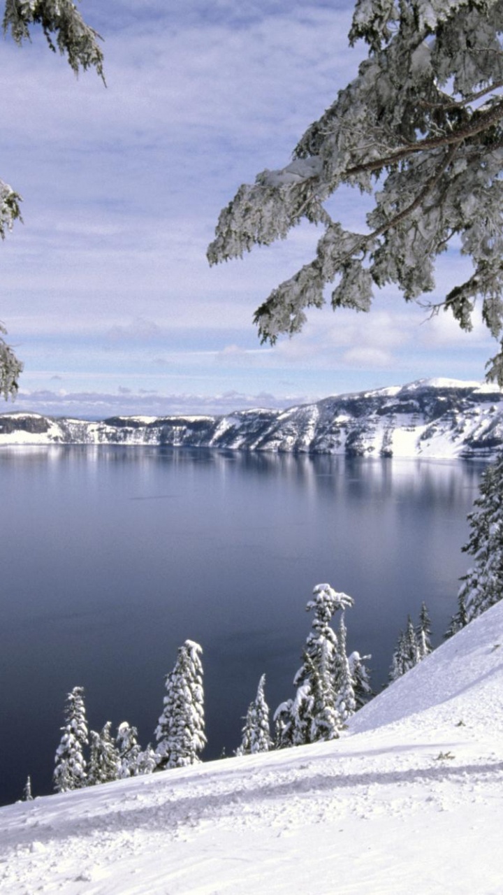 Обои снег, зима, дерево, дикая местность, замораживание в разрешении 720x1280