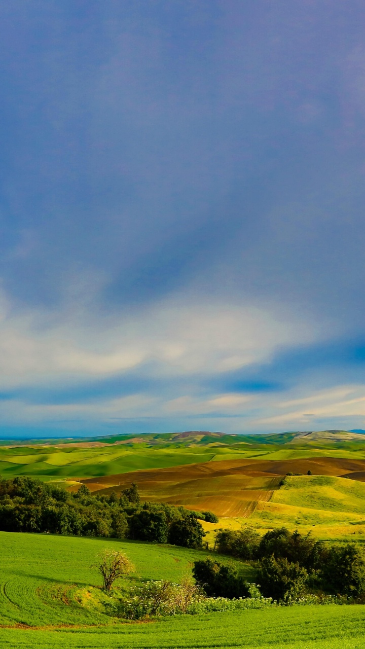 Обои пейзажная живопись, пейзаж, природный ландшафт, сенокосное угодье, природа в разрешении 720x1280