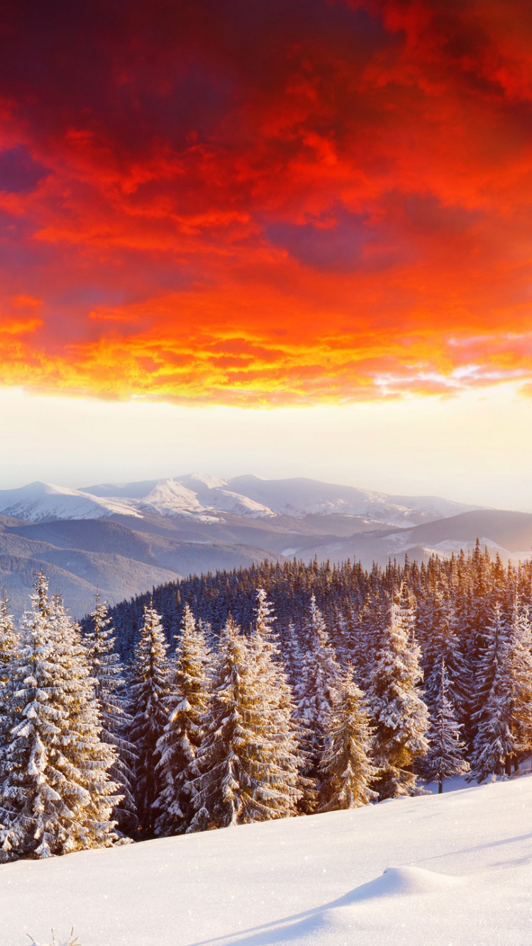 Обои закат, снег, гора, зима, облако в разрешении 750x1334