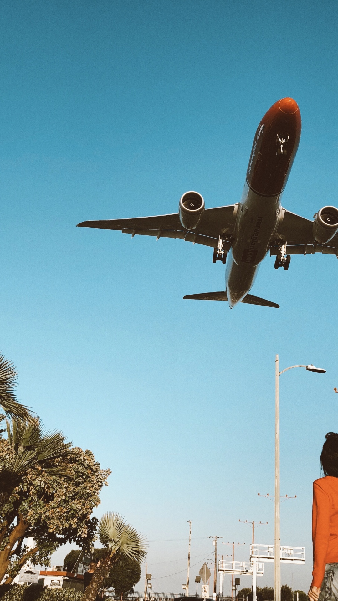 Обои Лос-Анджелес, самолет, воздушное путешествие, самолеты, широкофюзеляжный самолет в разрешении 1080x1920