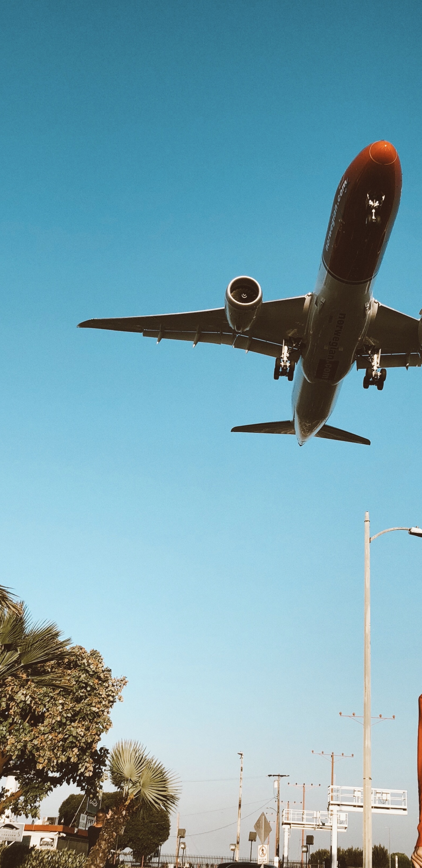 Обои Лос-Анджелес, самолет, воздушное путешествие, самолеты, широкофюзеляжный самолет в разрешении 1440x2960