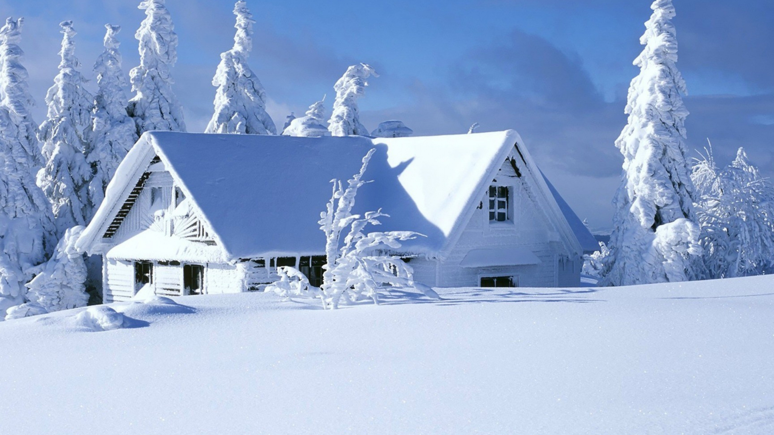 Обои снег, зима, Хаус, замораживание, мороз в разрешении 2560x1440