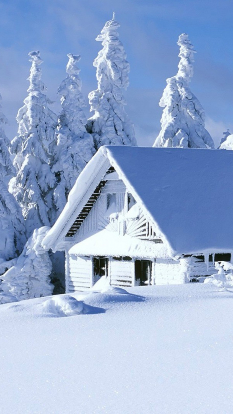 Обои снег, зима, Хаус, замораживание, мороз в разрешении 750x1334