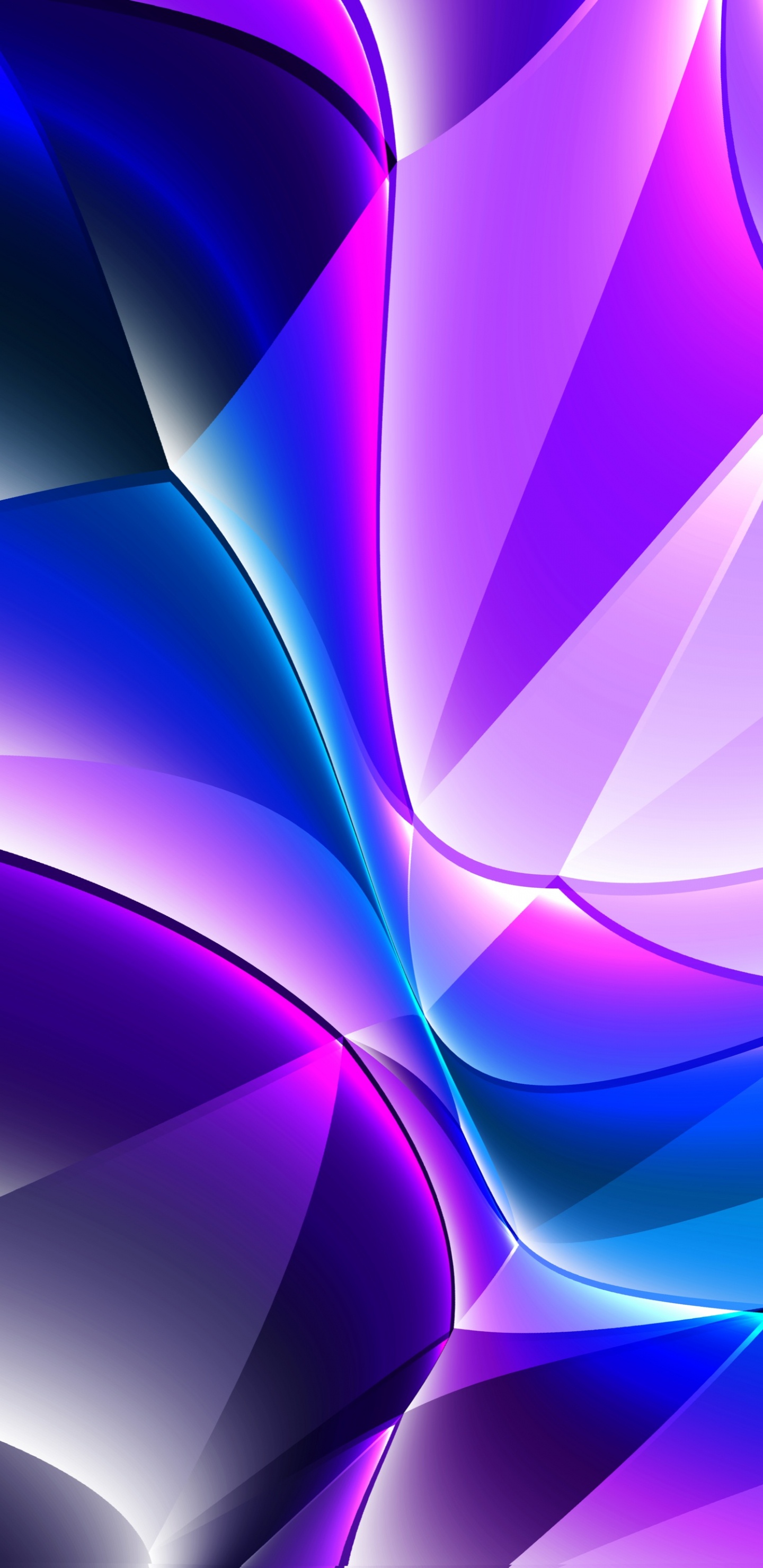 Обои красочность, пурпур, лазурный, Фиолетовый, арт в разрешении 1440x2960