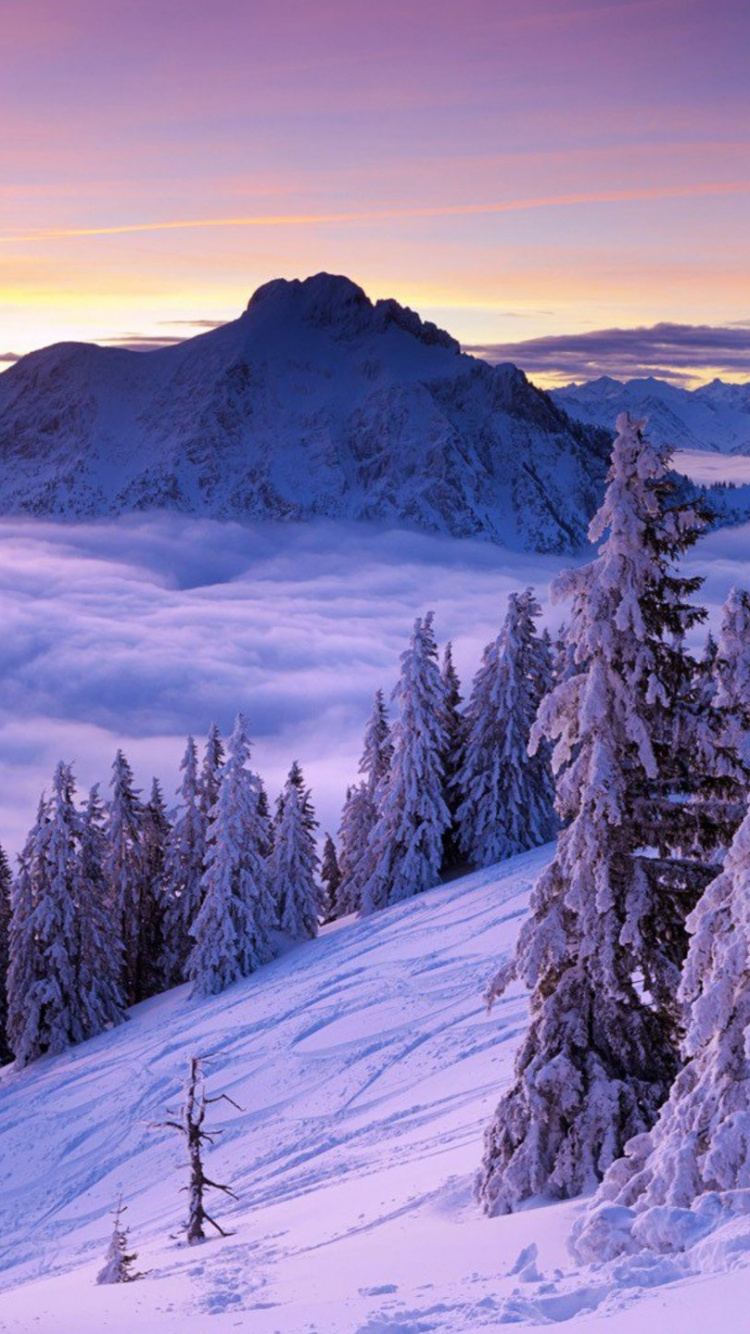 Обои зима, снег, гора, горный рельеф, дерево в разрешении 750x1334