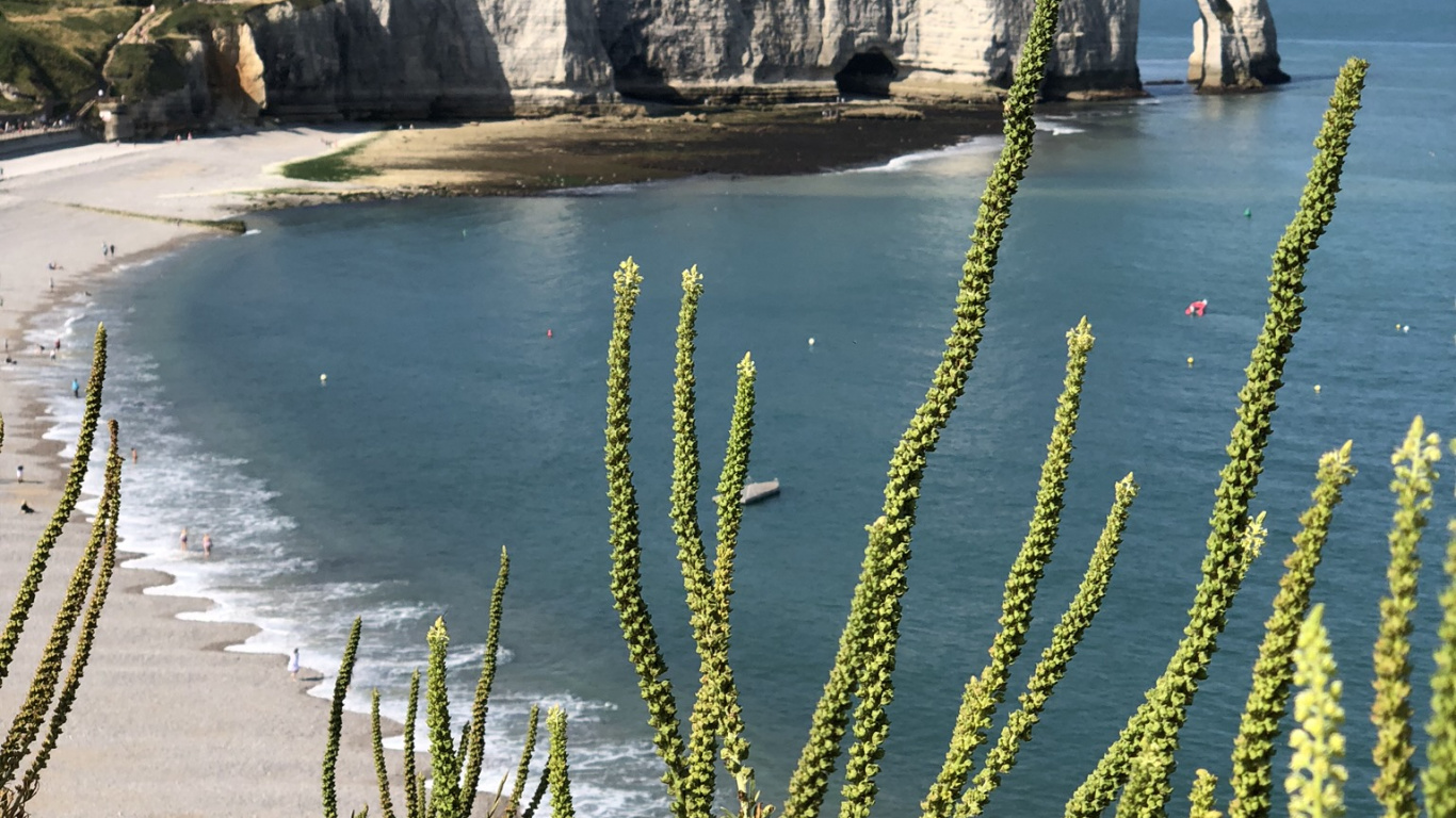 Обои Авальская скала, вода, водоем, побережье, берег в разрешении 1366x768