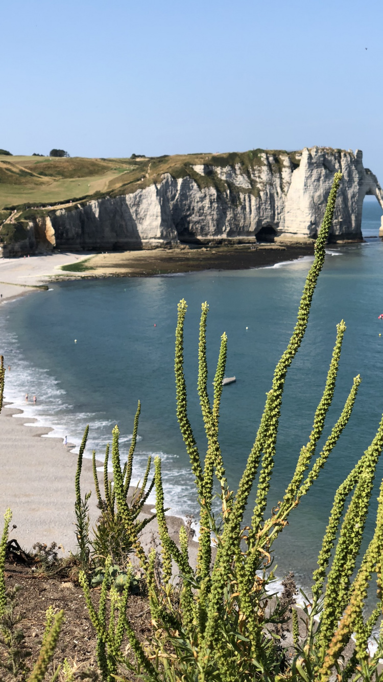 Обои Авальская скала, вода, водоем, побережье, берег в разрешении 750x1334
