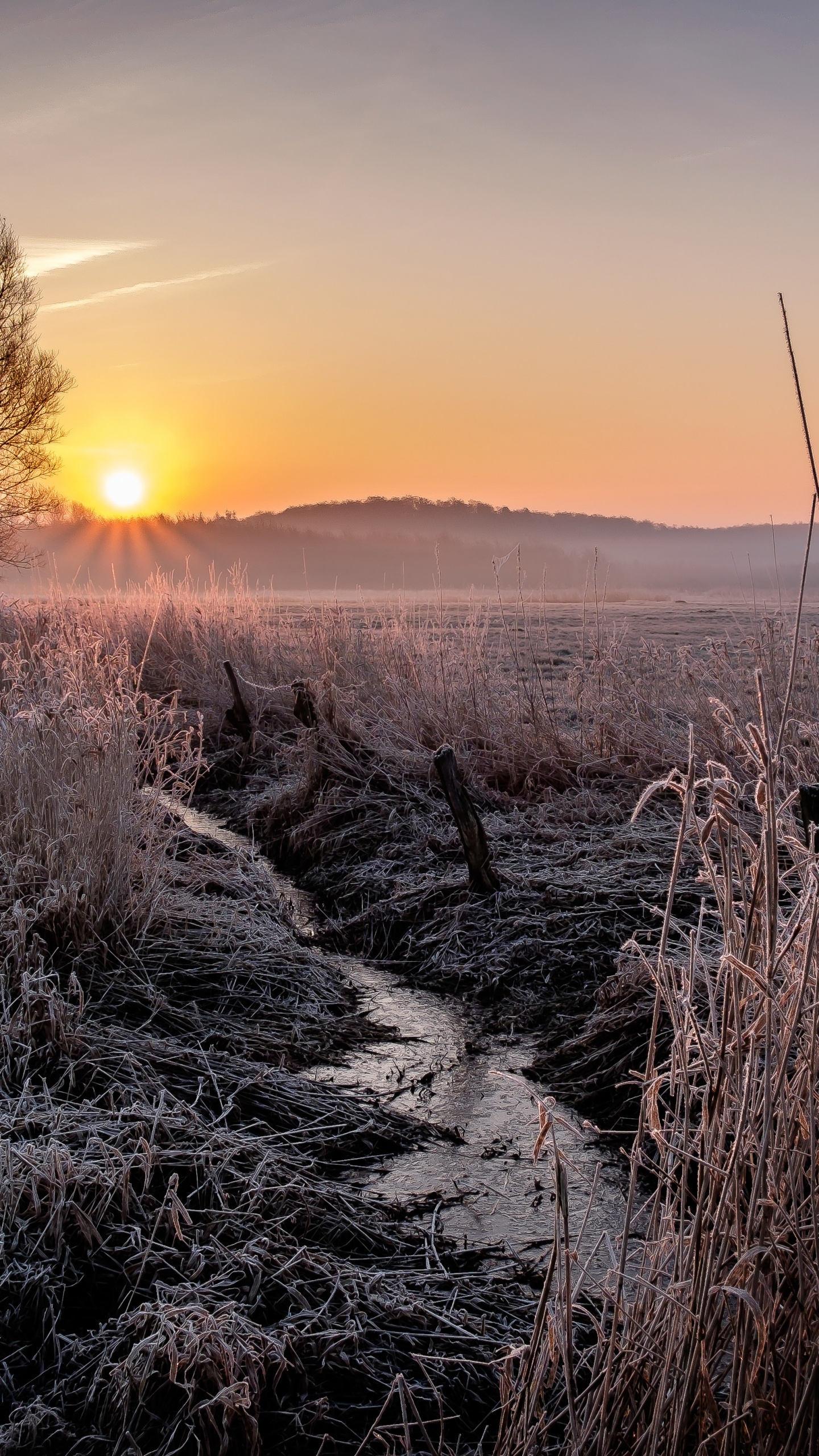 Обои природный ландшафт, атмосфера, пейзаж, горизонт, восход солнца в разрешении 1440x2560