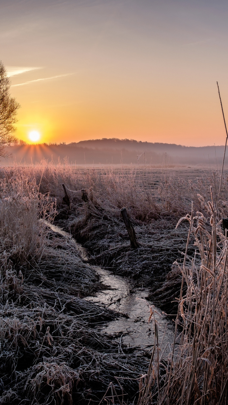 Обои природный ландшафт, атмосфера, пейзаж, горизонт, восход солнца в разрешении 750x1334