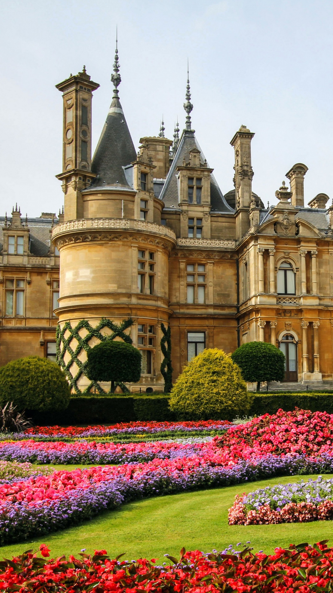 Обои дворец, имущество, ориентир, сад, величественный дом в разрешении 1080x1920