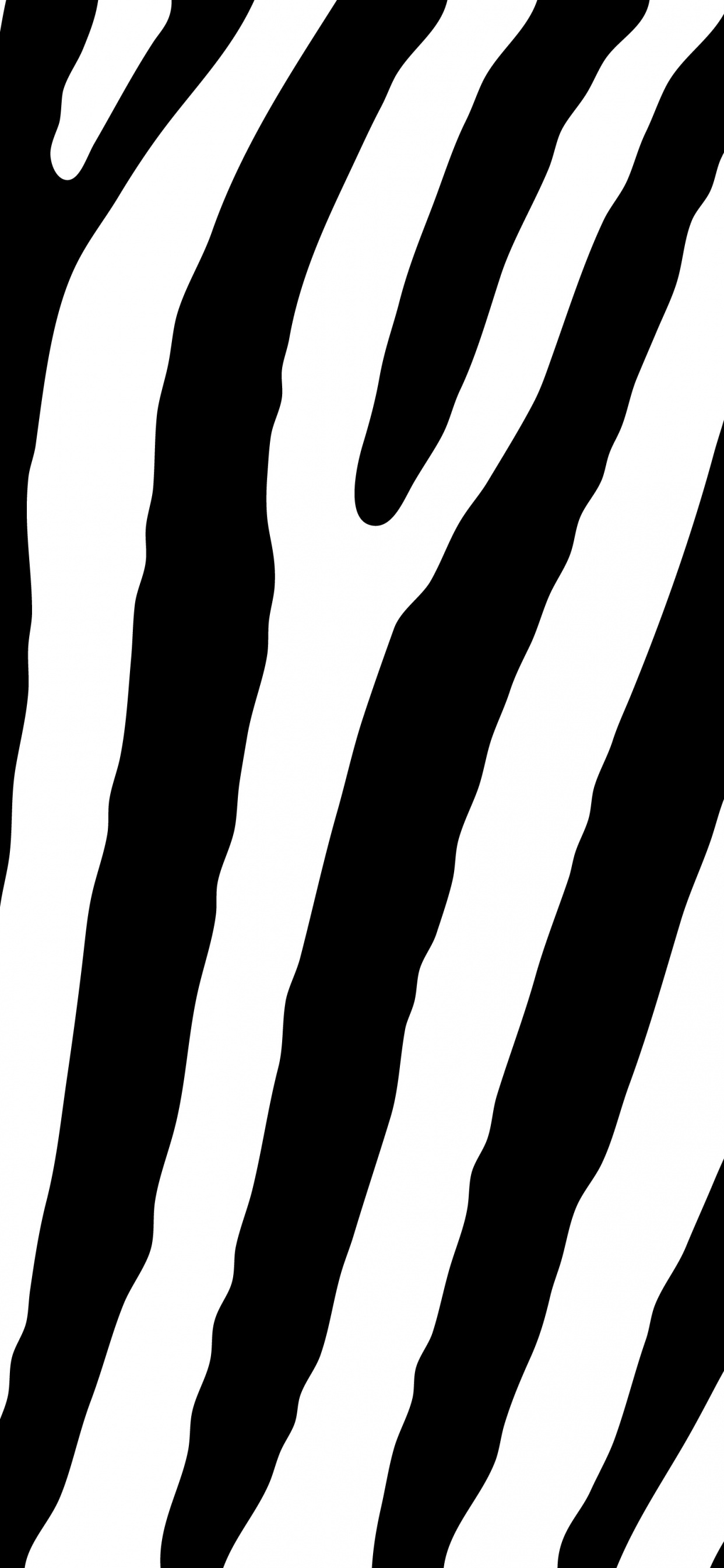 Обои дизайн, монохромный, зебра, линия, узор в разрешении 1242x2688