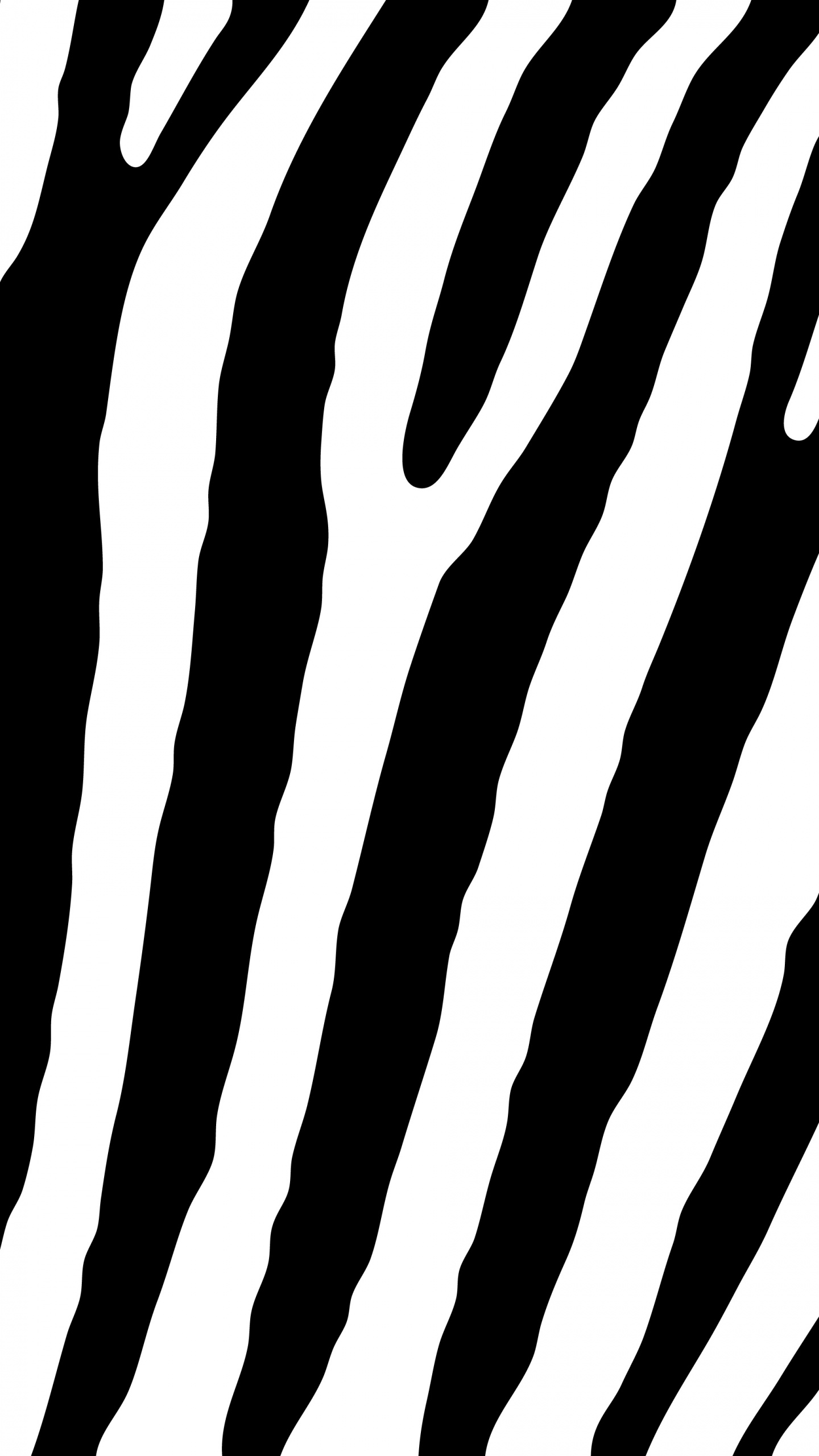 Обои дизайн, монохромный, зебра, линия, узор в разрешении 1440x2560