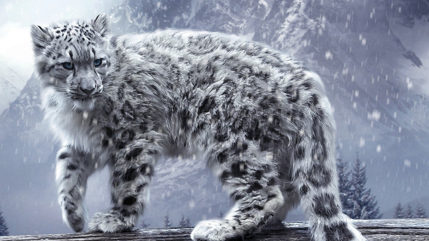 Обои Леопард, снежный Барс, кошачьих, кот, бакенбарды в разрешении 1366x768