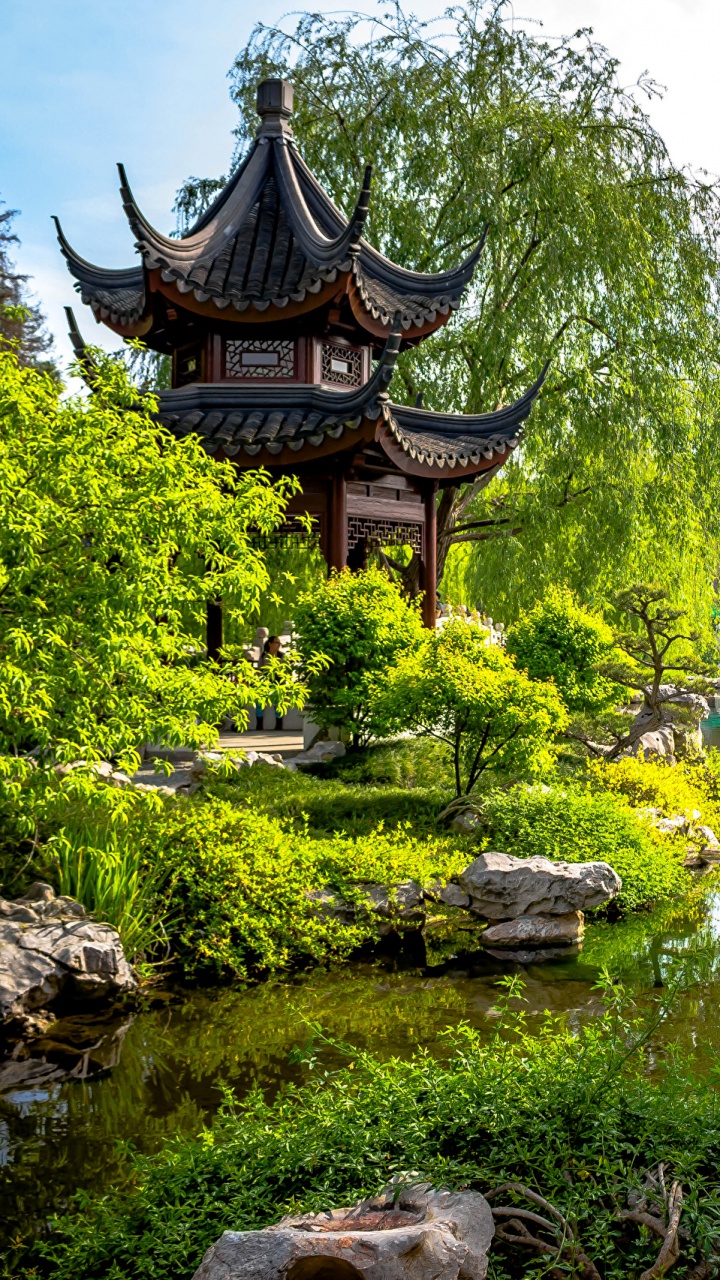 Обои японский сад, сад, Япония, природа, растительность в разрешении 720x1280