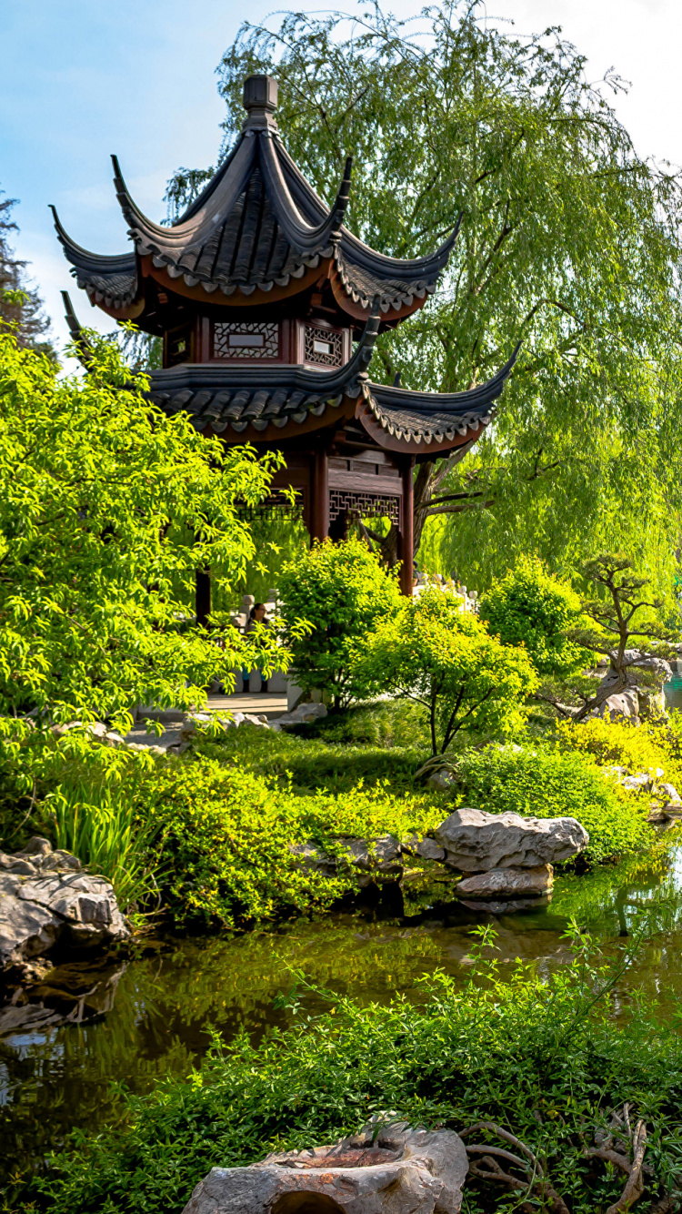 Обои японский сад, сад, Япония, природа, растительность в разрешении 750x1334