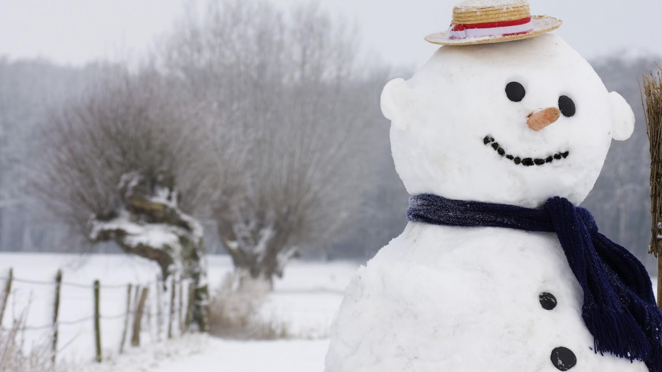 Обои Снеговик, замораживание, зимний шторм, метель, мороз в разрешении 1366x768