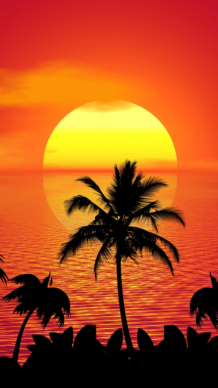 Обои закат, послесвечение, Пальма, восход солнца, силуэт в разрешении 750x1334