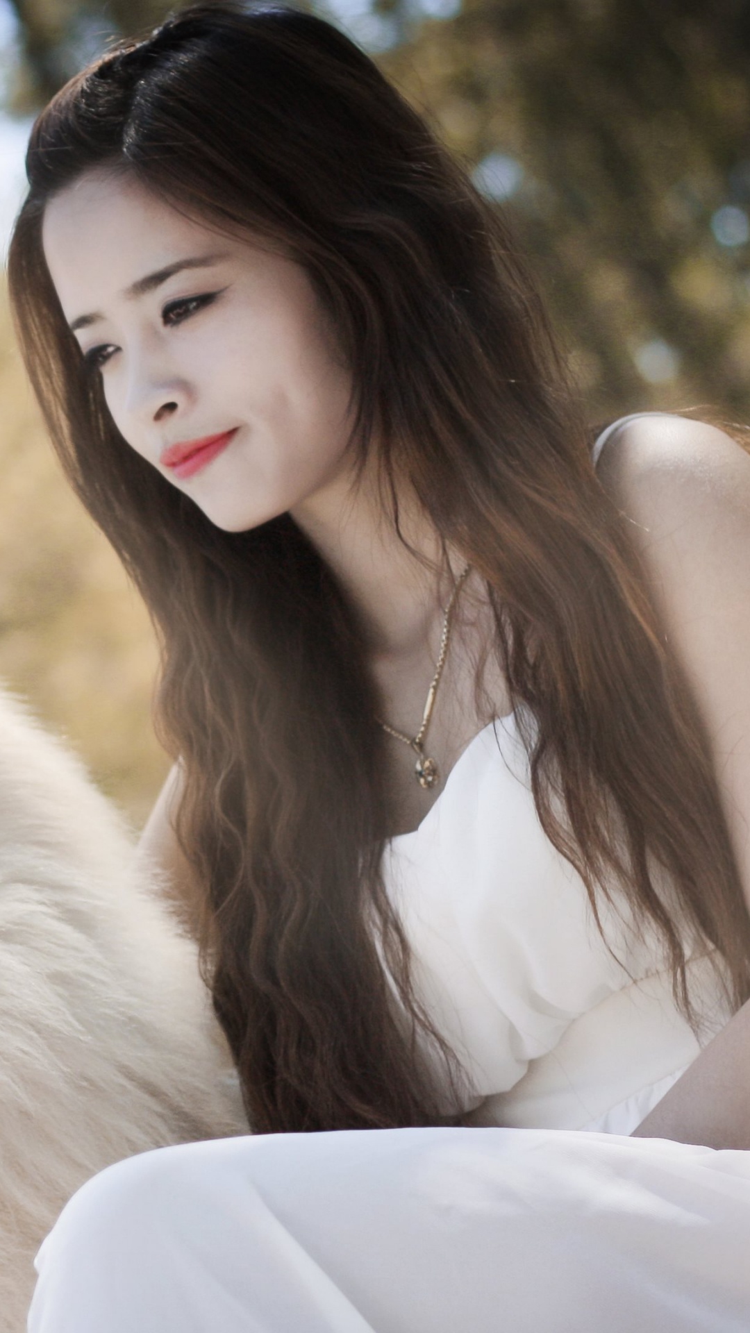 Обои пес, Псовые, самоед, собака породы, кожа в разрешении 1080x1920